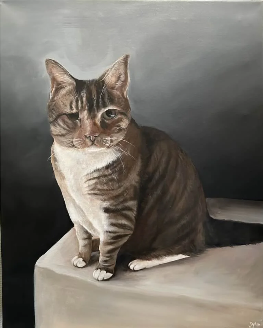 Screenshot 2026-03-09 at 9.10.29 AM.png