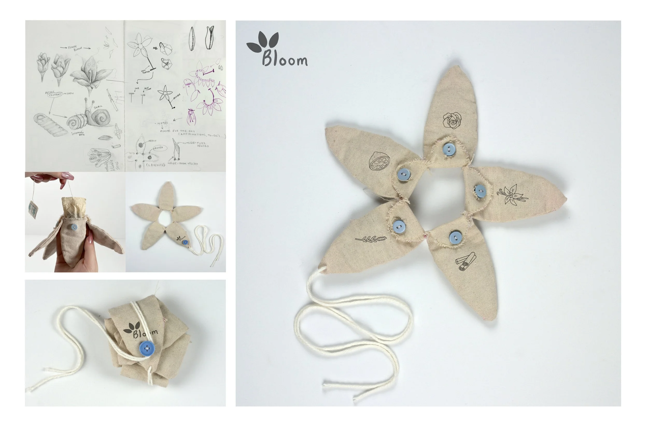 Product Design - Bloom