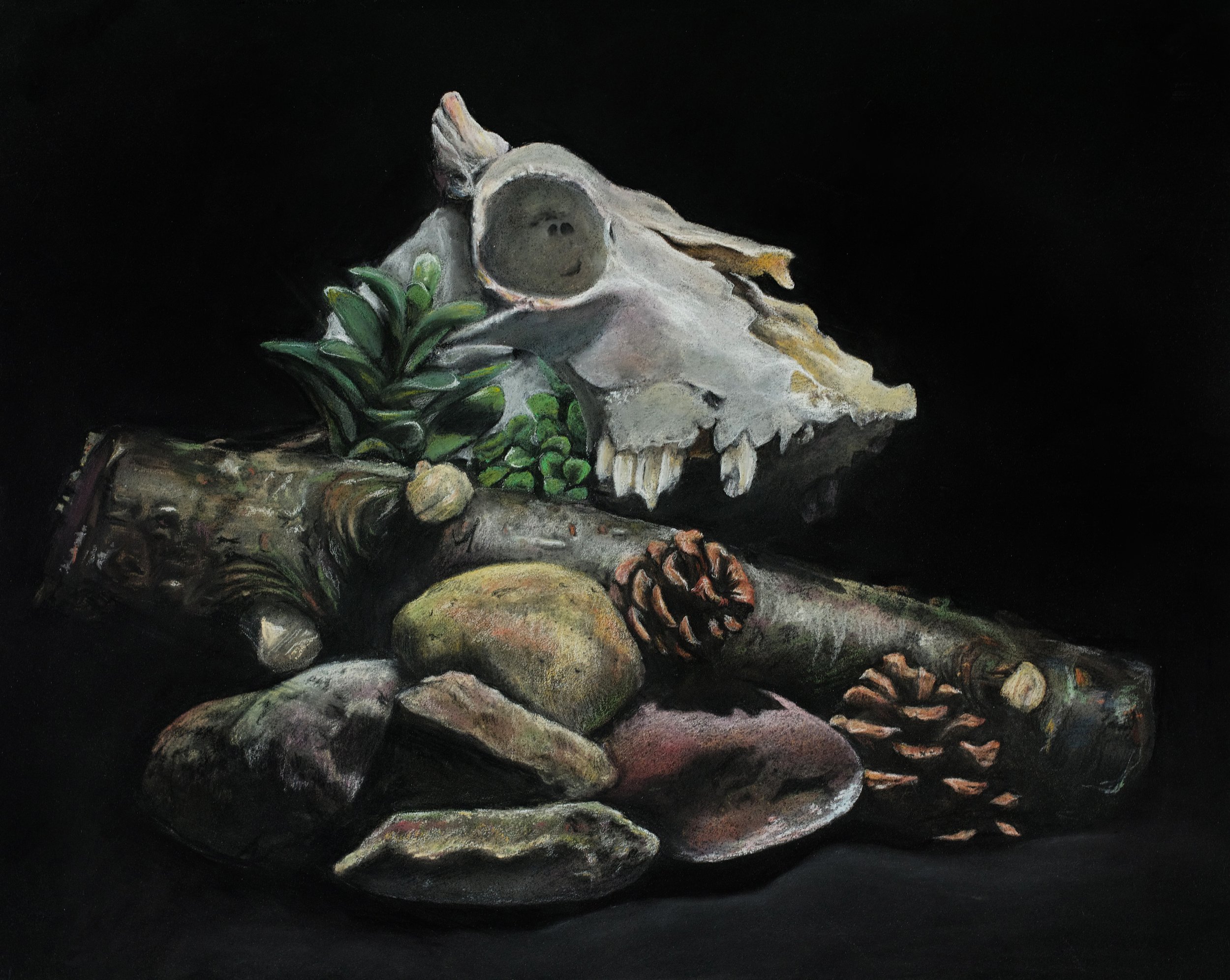 A still life painting of animal bones, pinecones, rocks, and greenery on a black background.