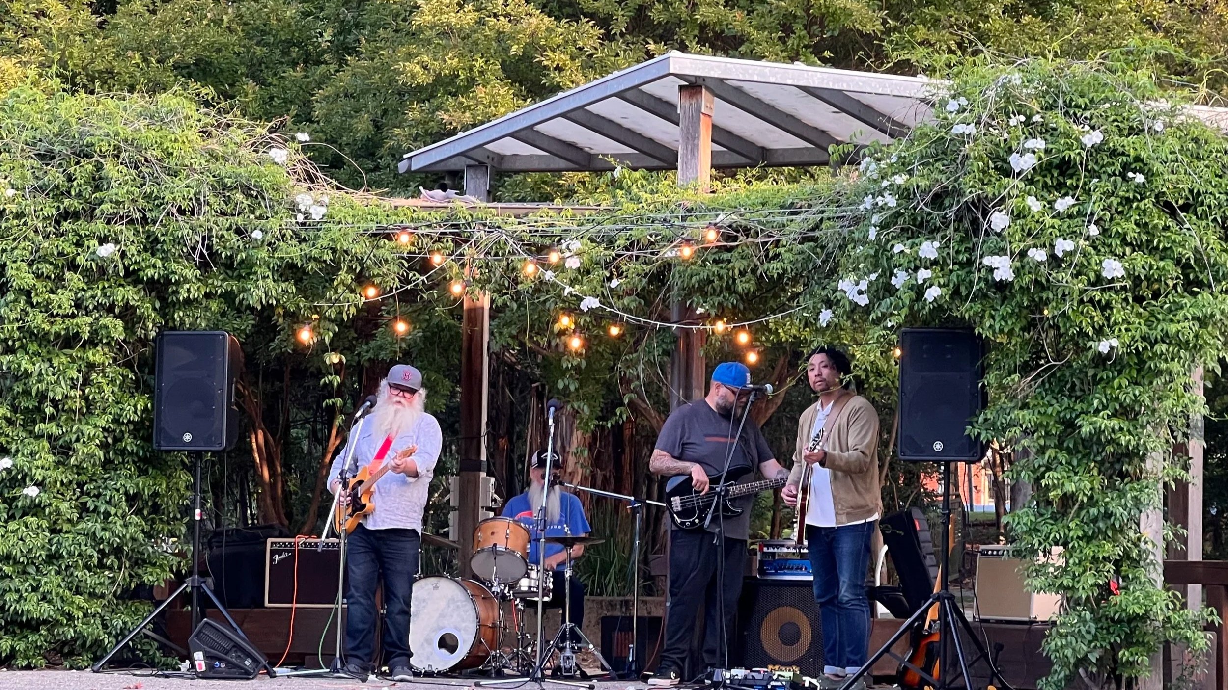 Music in the Park