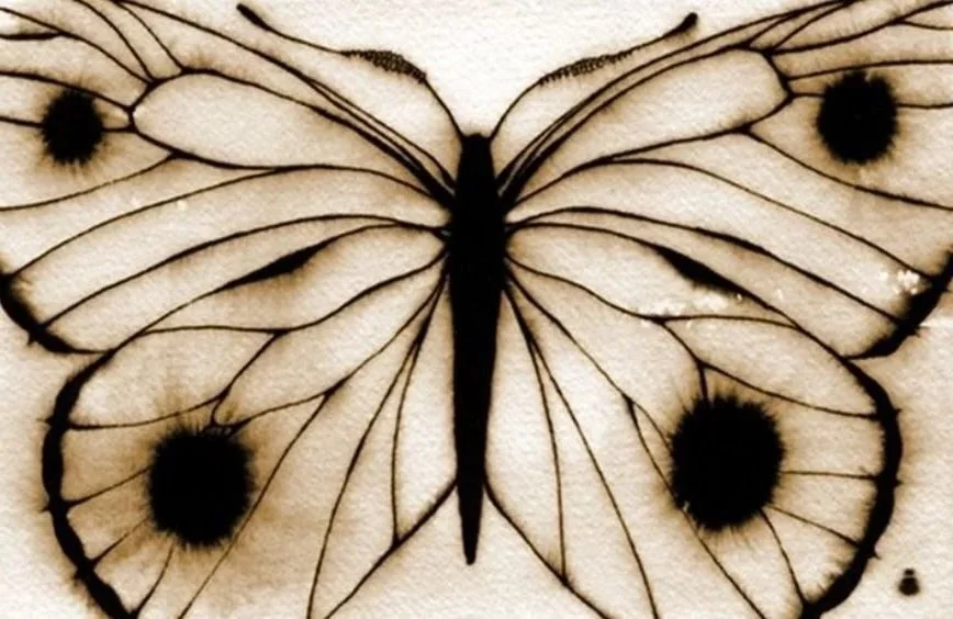 Close-up of a butterfly with black markings and spots on its cream-colored wings.
