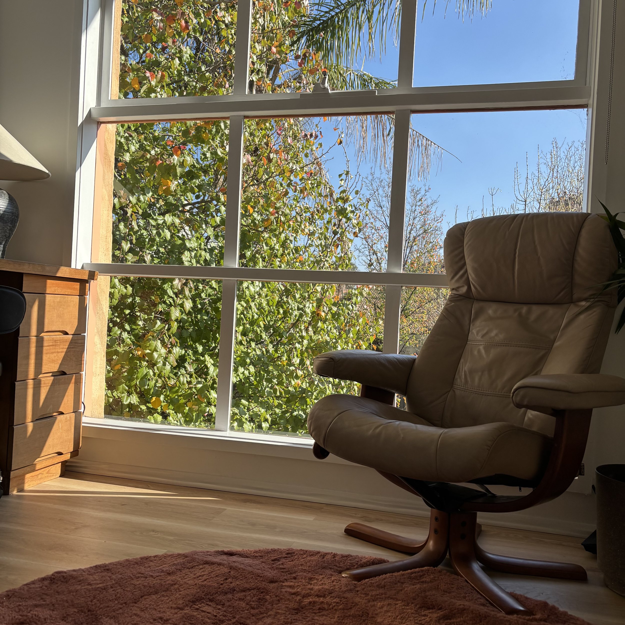 View of a living room with a large window showing trees and a blue sky outside. Part of a beige armchair and a wooden table are visible inside, along with a pinkish-brown rug on a light wood floor.