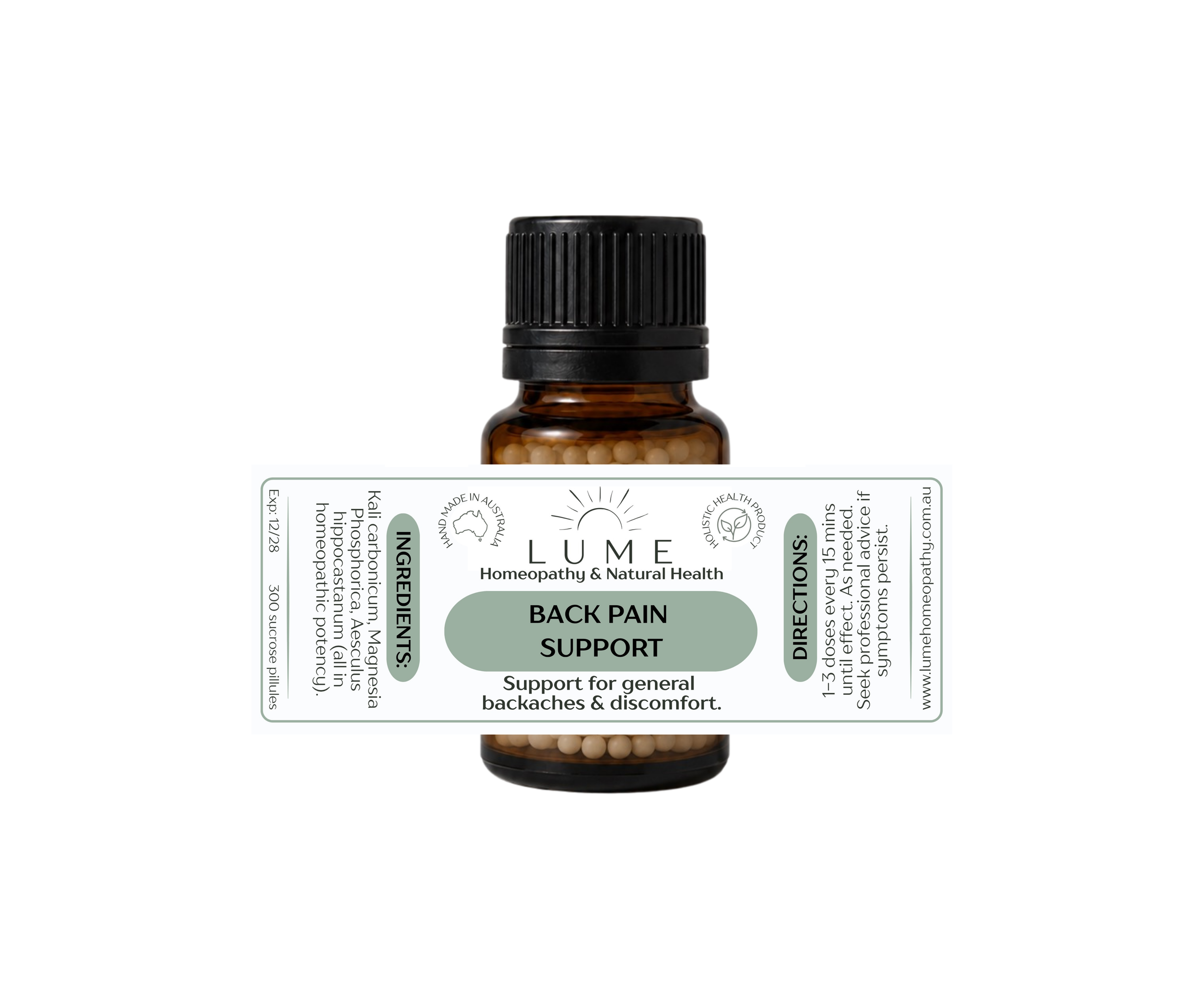 Back Pain Support