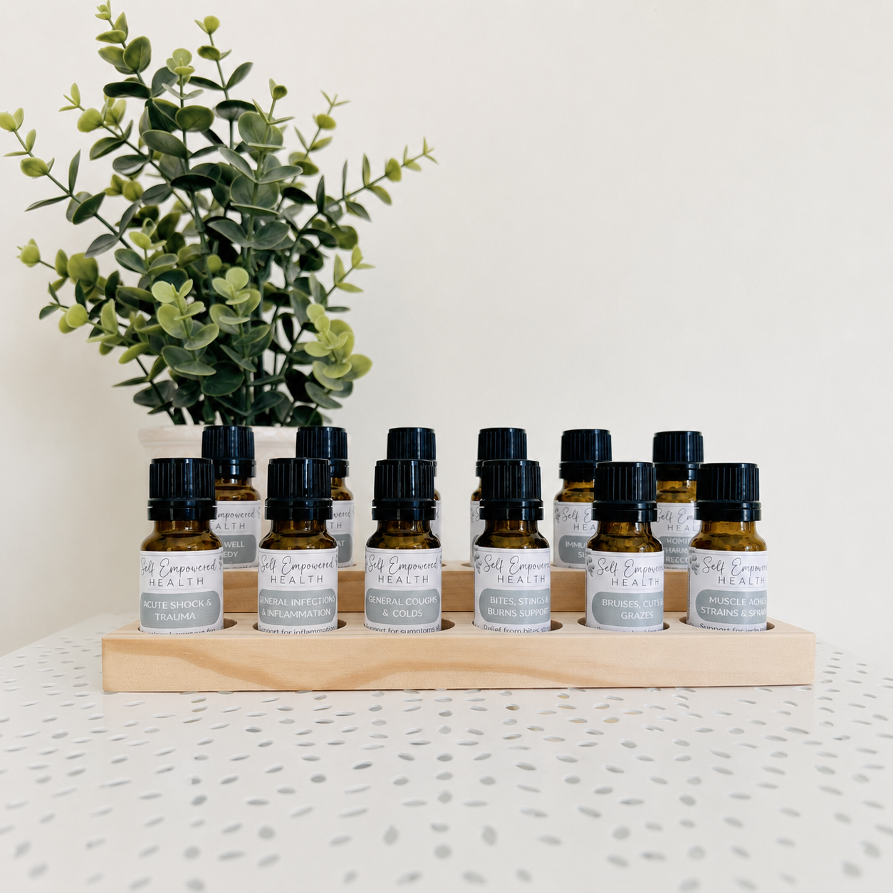 12 Remedy Homeopathic First Aid Kit with Stand