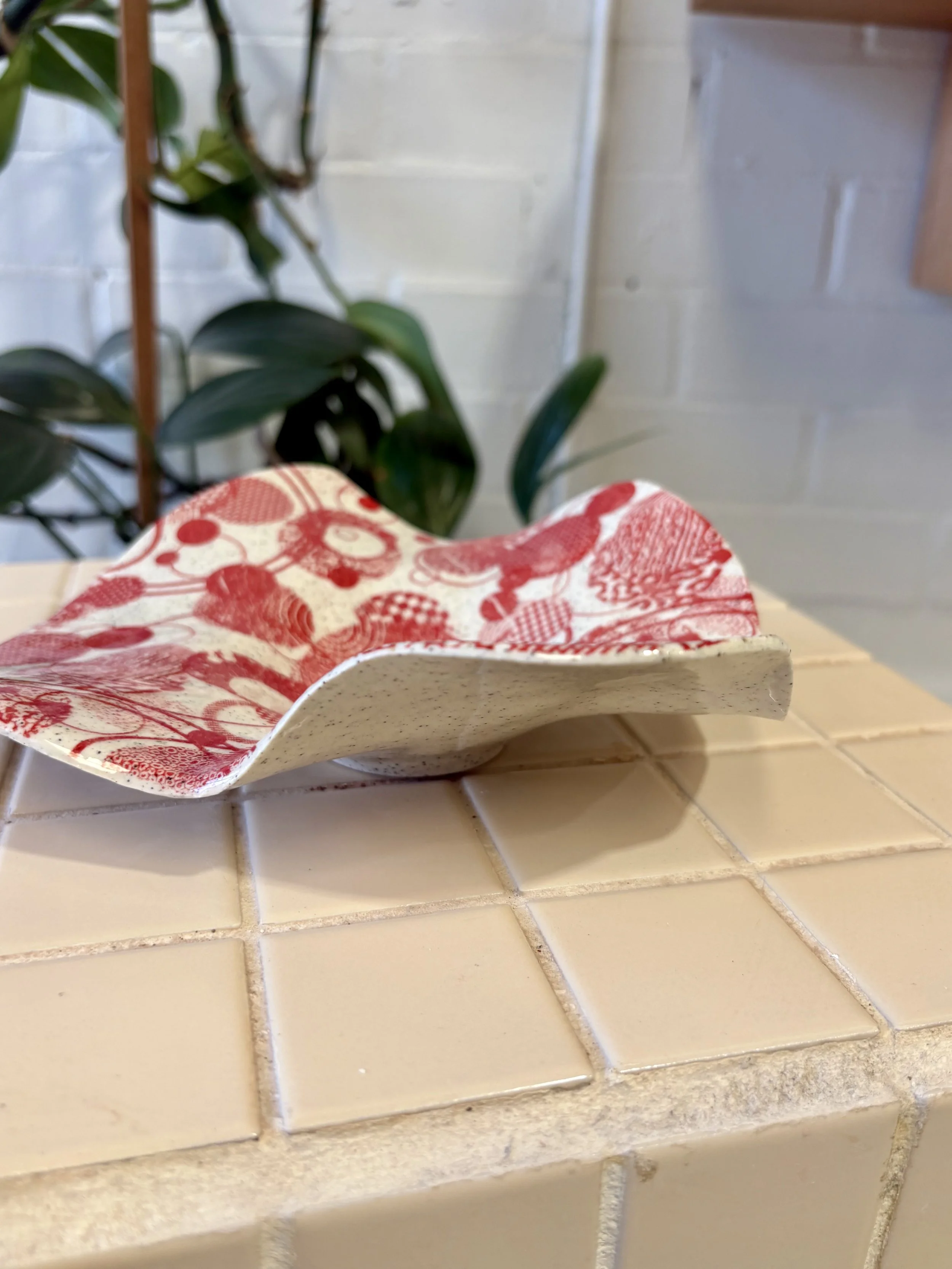 Red Pattern Wave Plate $40