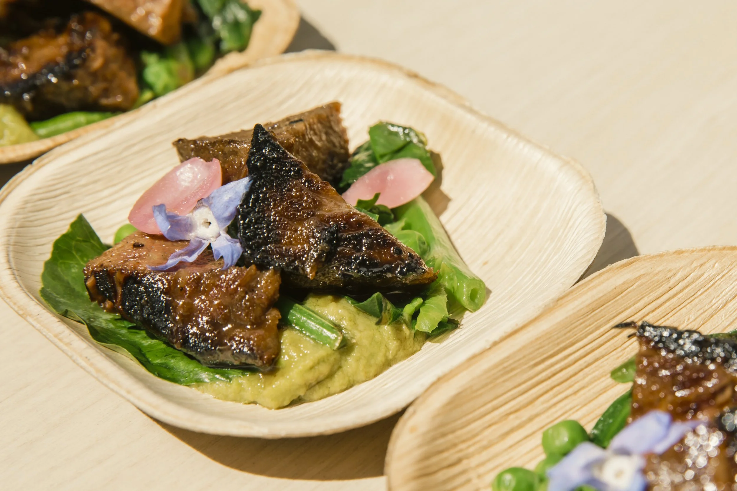 Experiential & Media Projects