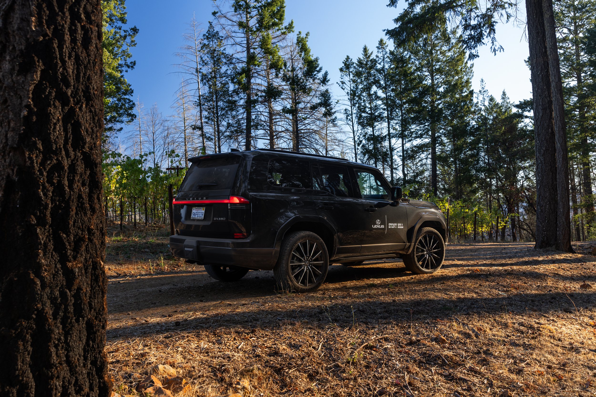 Lexus_StonyHill_09.jpg