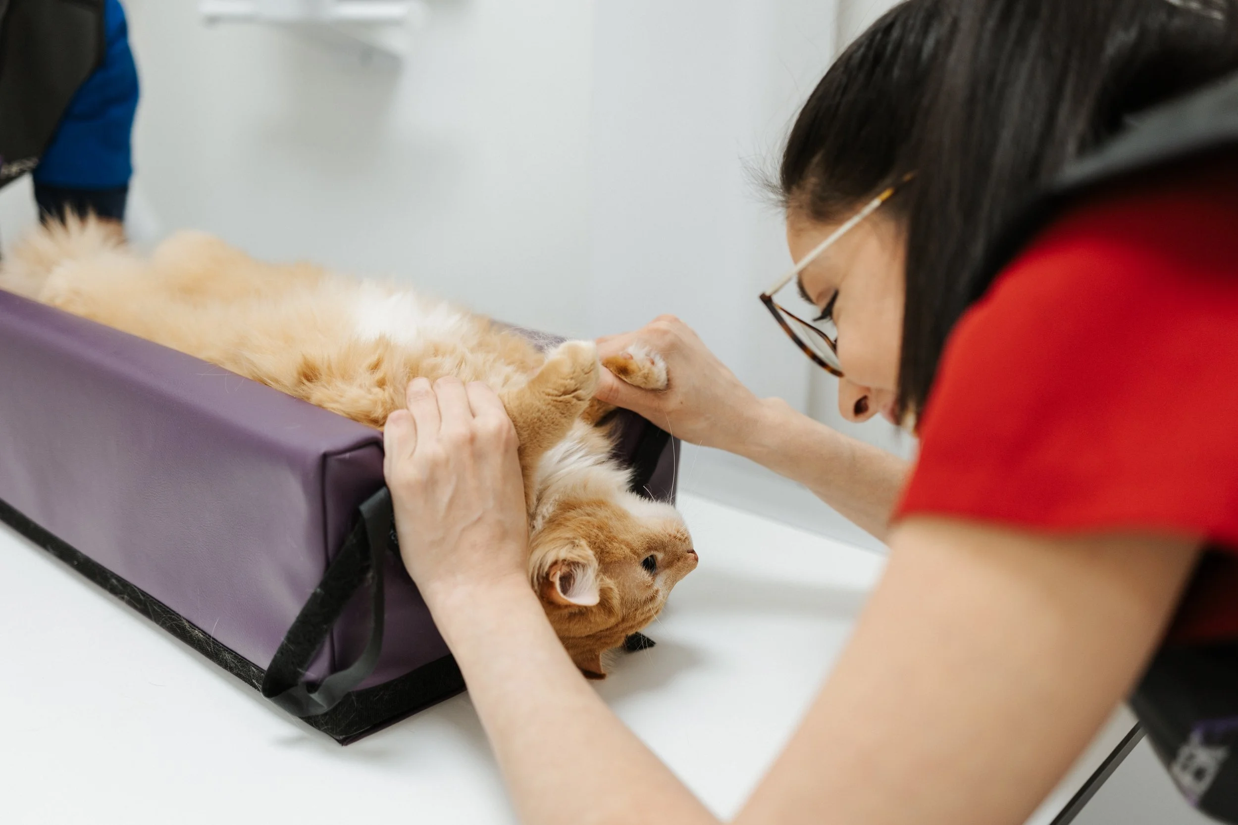 Tomken Hospital-58.jpg