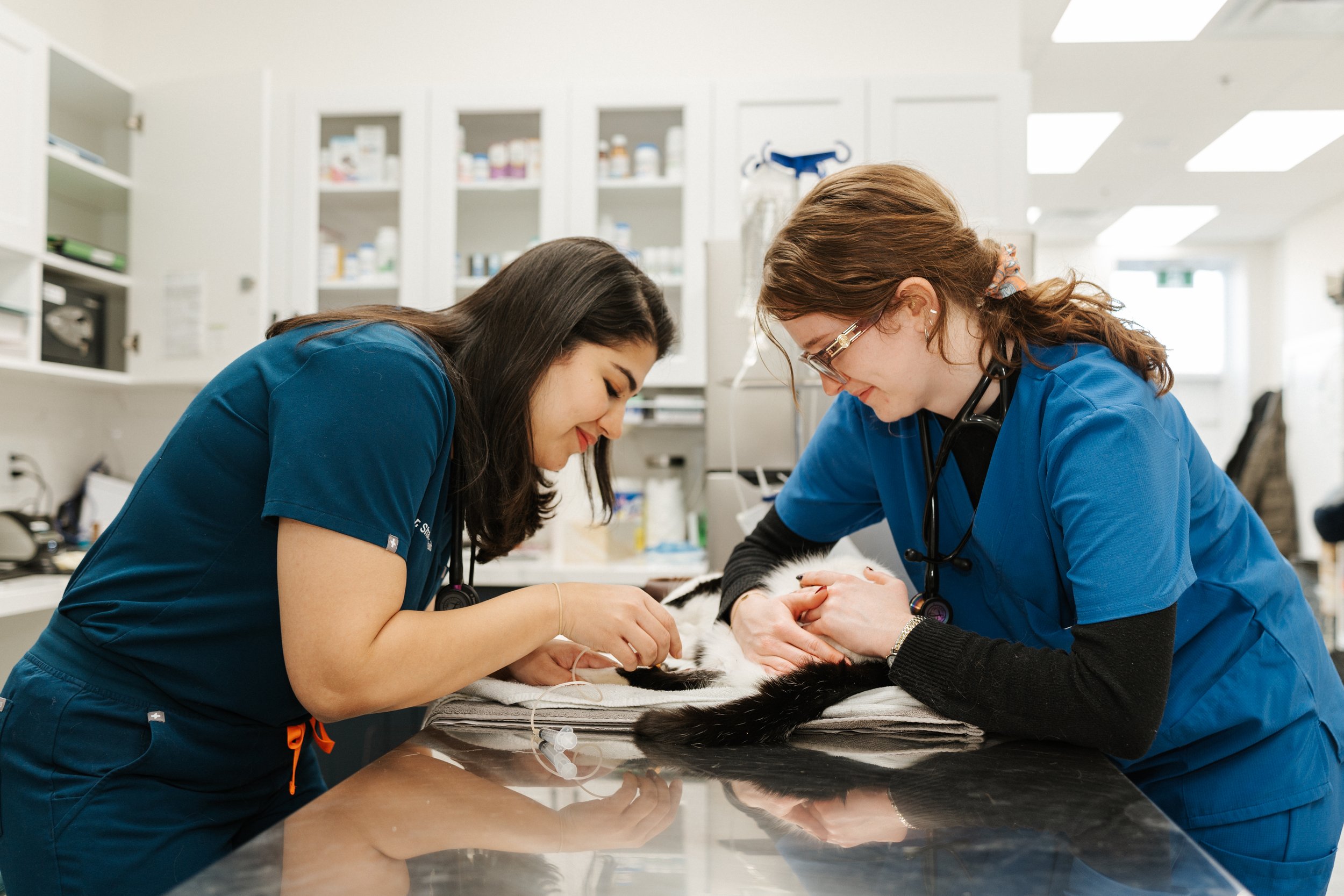 Tomken Hospital-46.jpg