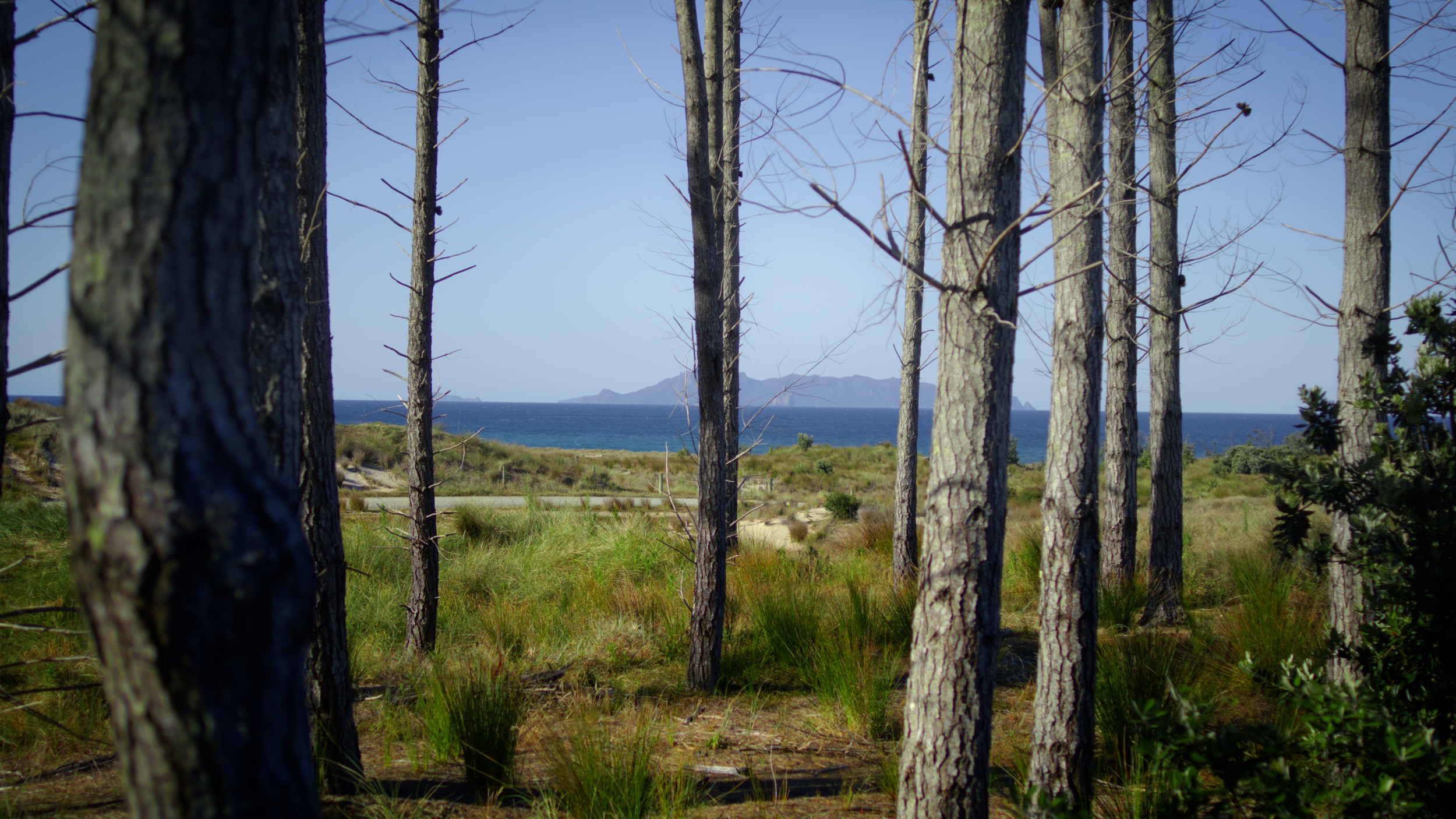 vlcsnap-2025-11-19-13h09m42s411.png