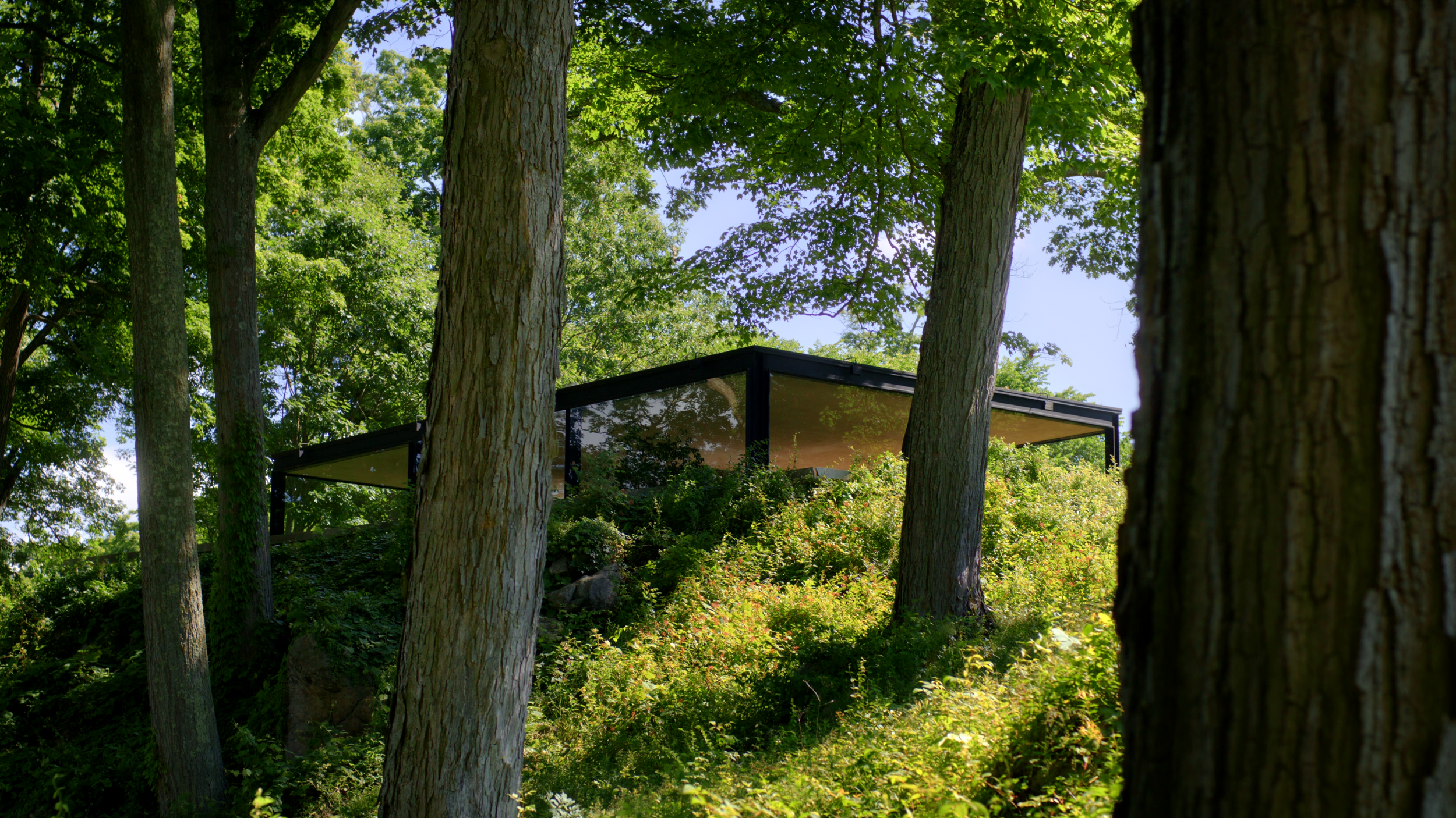 Philip Johnson Glass House