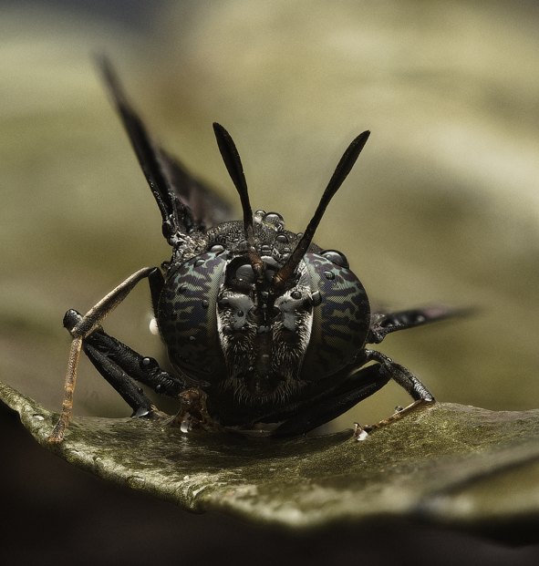 Schermafbeelding 2026-03-18 070427.png