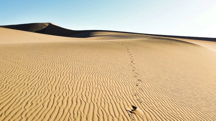 Desert landscape with sand dunes, footprints leading toward the horizon, and a clear sky.