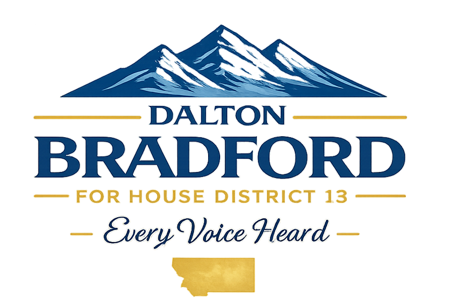 Every Voice Heard HD13