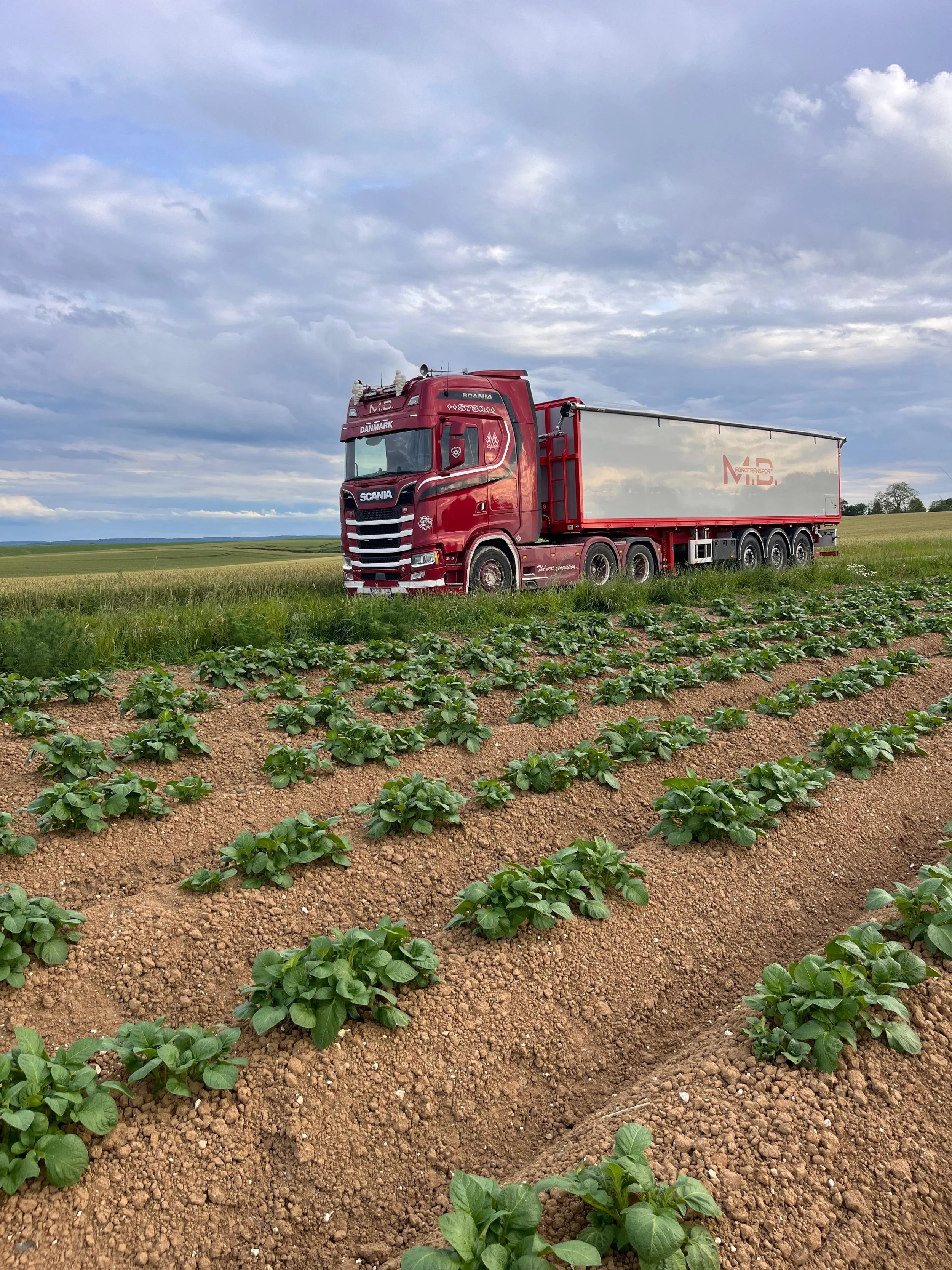 Een rood vrachtwagen op een veld met jonge planten onder een bewolkte hemel.