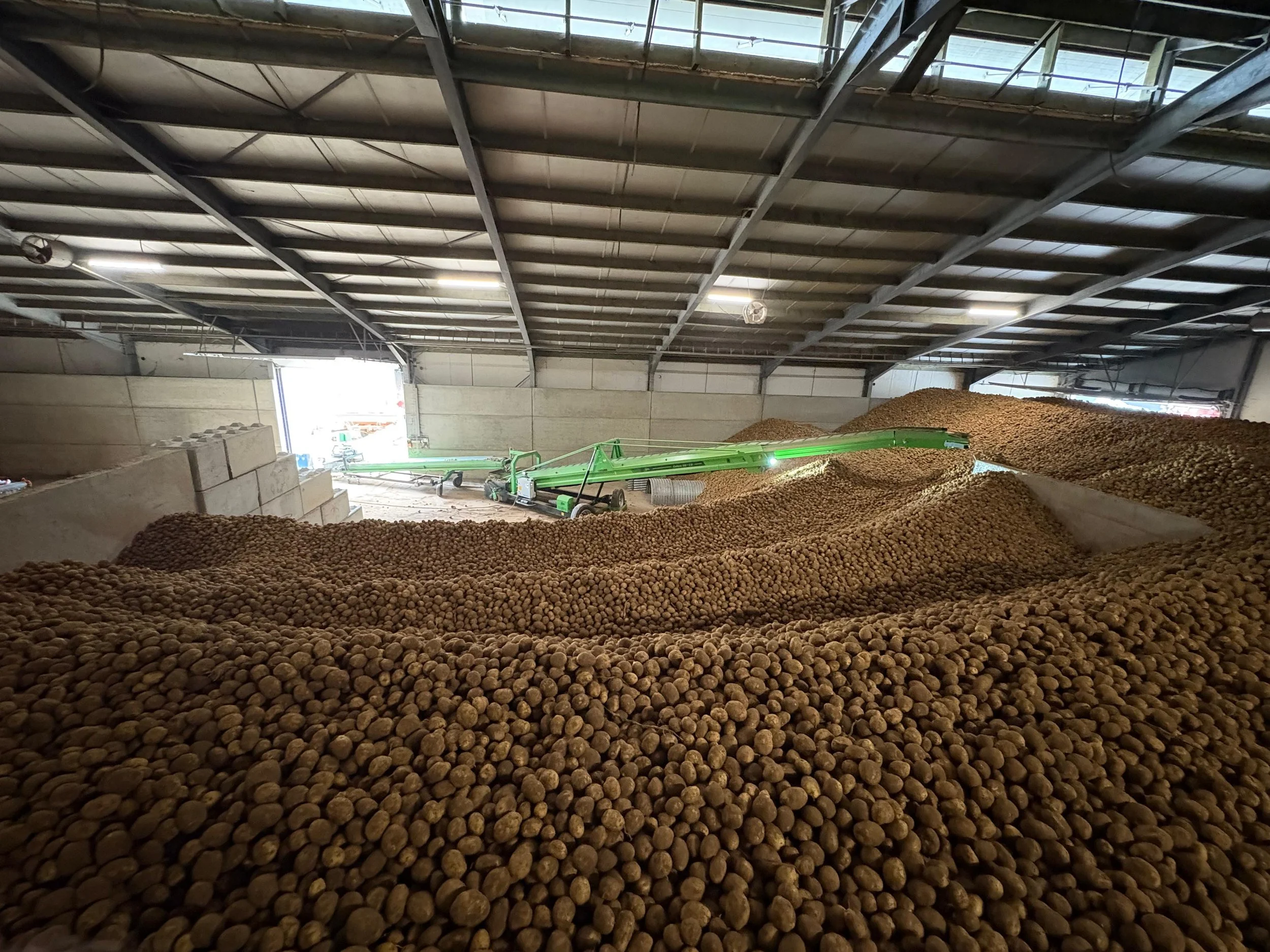 Binnenkant van een landbouwschuur met hoop aardappelen en een groen machine.