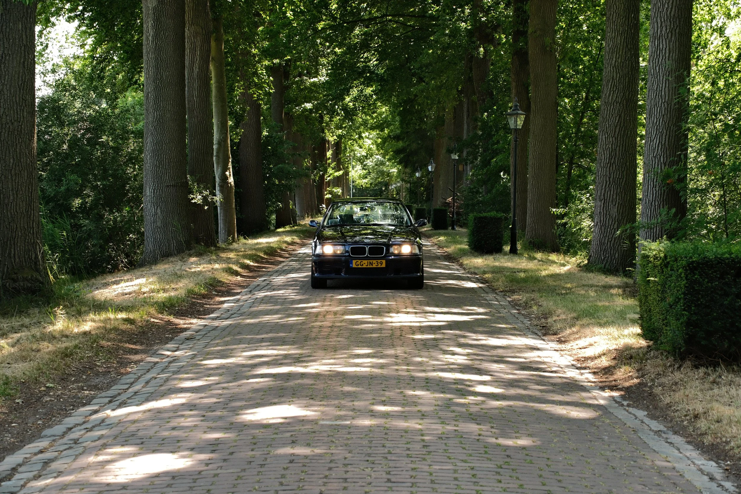 DSCF2504.JPG