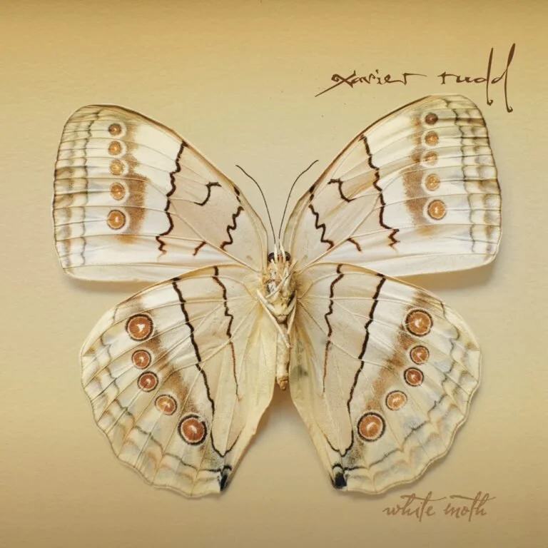 Mounted butterfly with white wings featuring brown and black patterns, labeled as 'Xavier' and 'white moth'.
