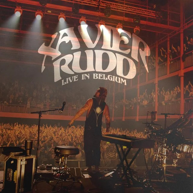 Live music concert stage with David Trubridge performing in Belgium, with musical instruments and audience in the background.