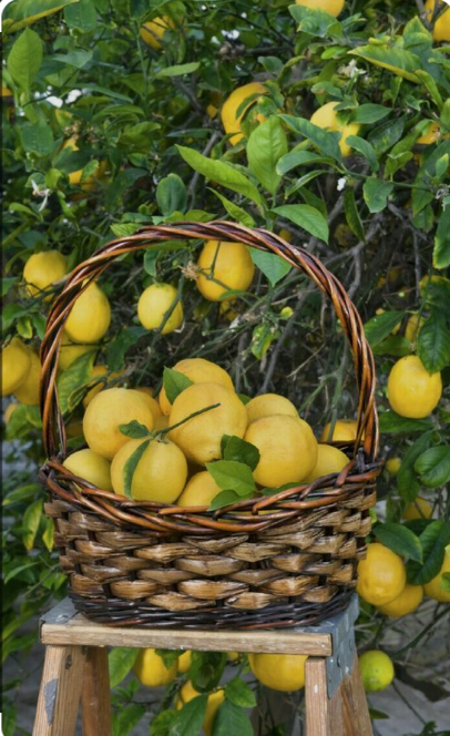 Collect your own lemons.png