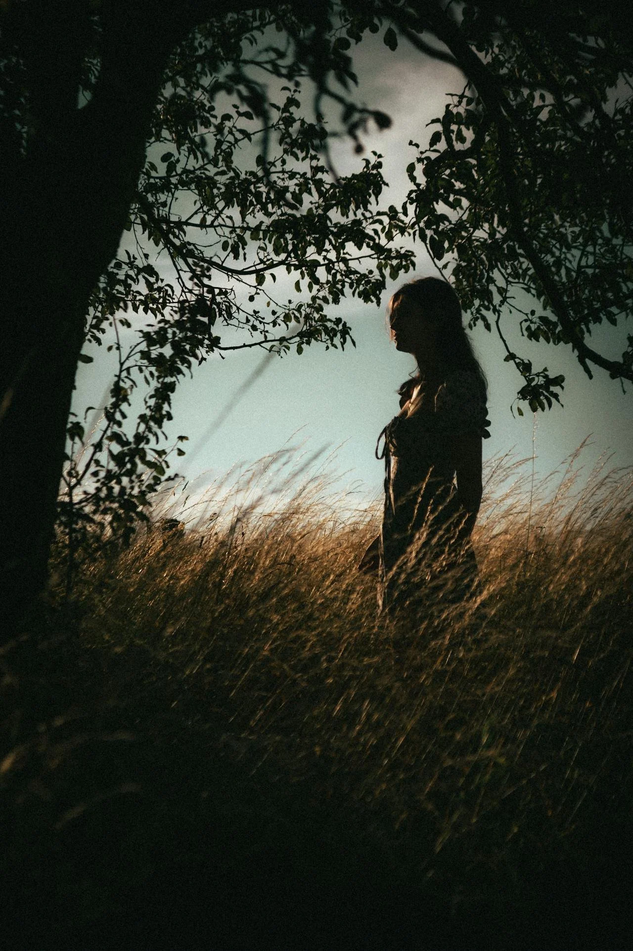 Silhouette of a woman standing in a grassy field under a tree at dusk or night with a cloudy sky in the background.