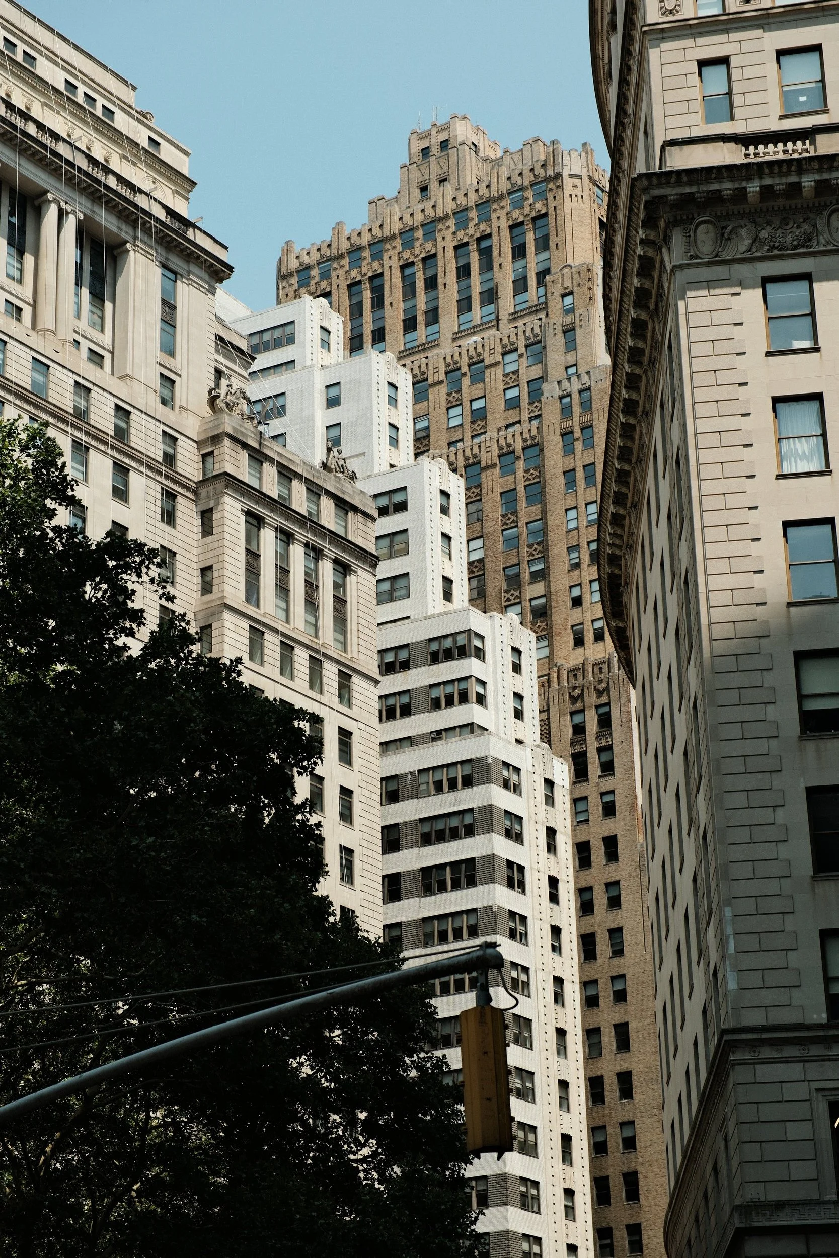 Tall city buildings in a densely packed downtown area with trees and a traffic light in the foreground.