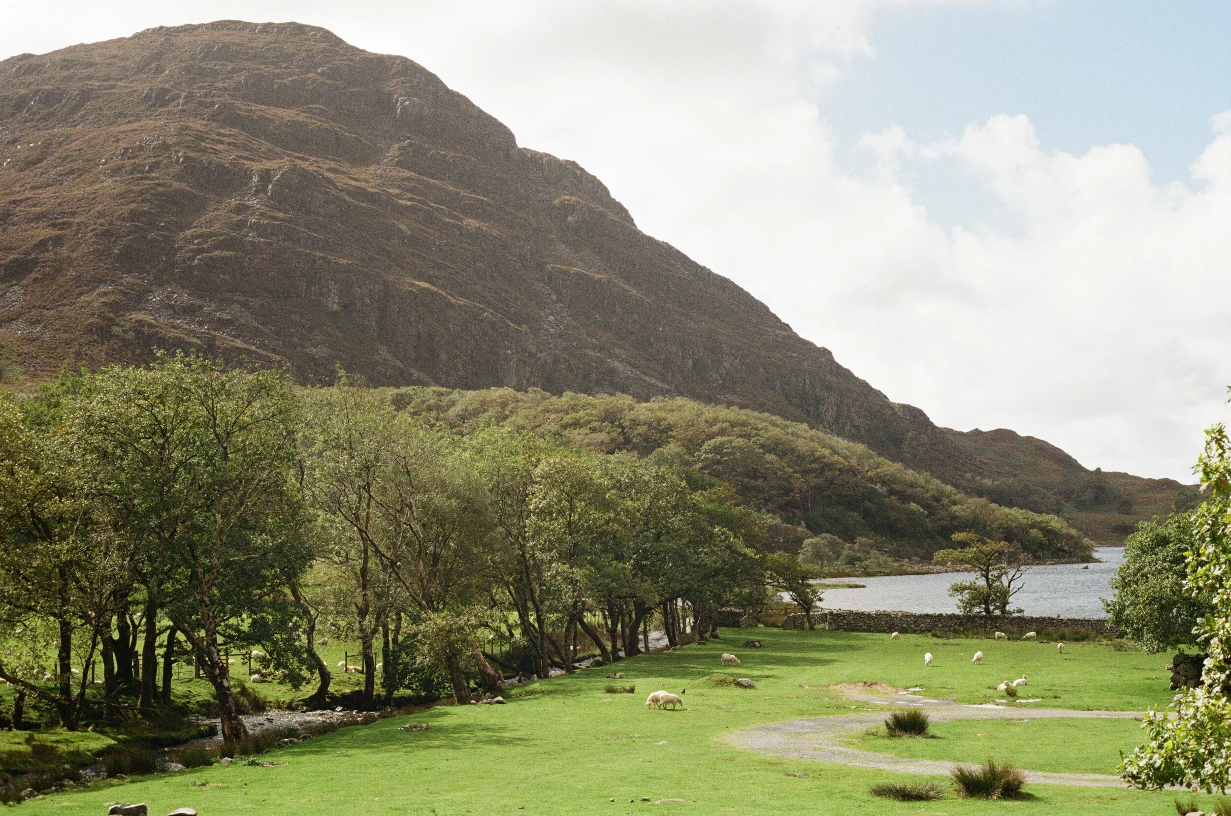 Green grassy field with sheep grazing, trees lining a small stream, a lake in the background, and large hill or mountain with layered rock formations covered in sparse vegetation under a partly cloudy sky.