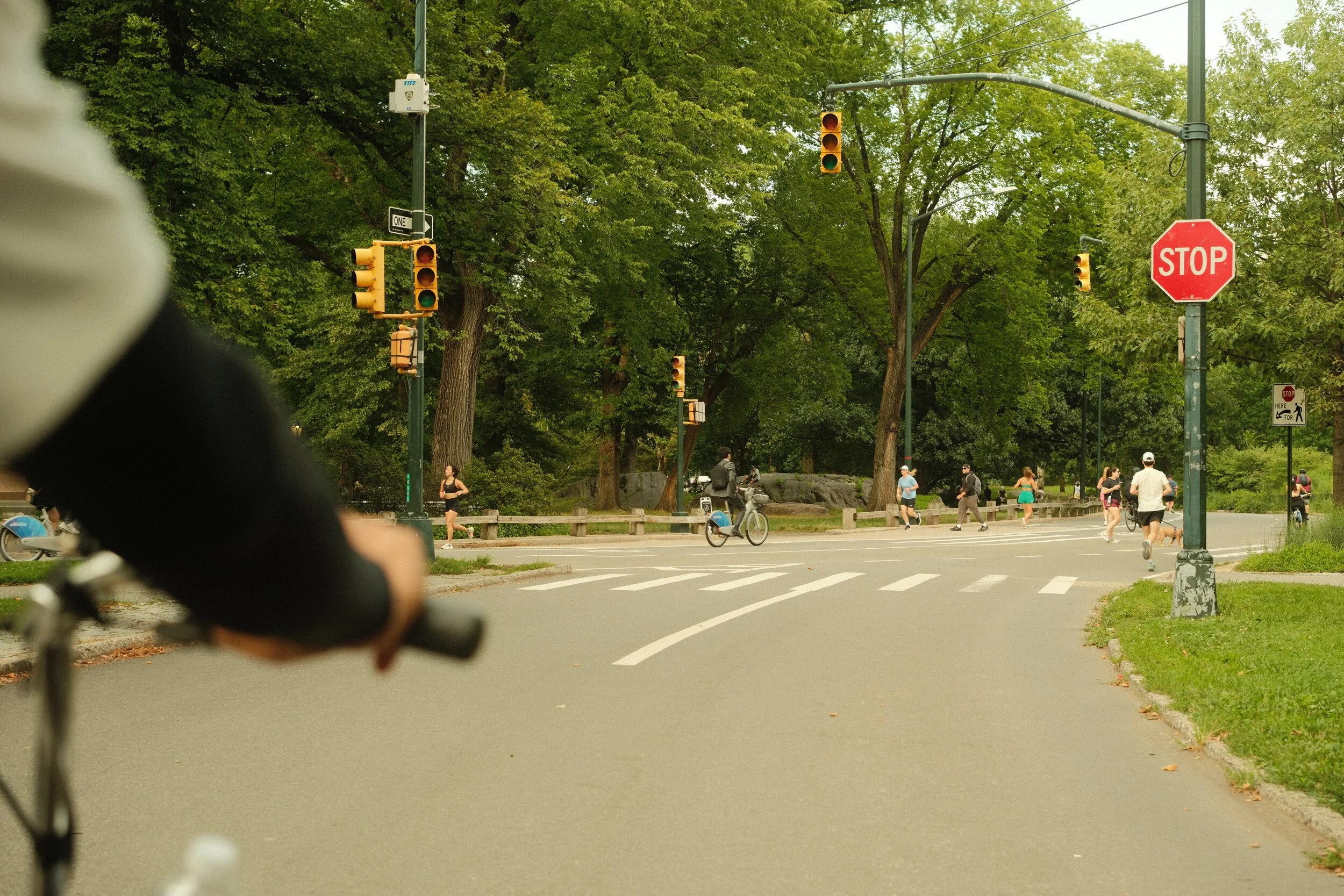 View of a busy city intersection with traffic lights, stop sign, and pedestrians crossing. Green trees line the street, and bicycles are visible. The photo is taken from the perspective of someone on a bicycle.