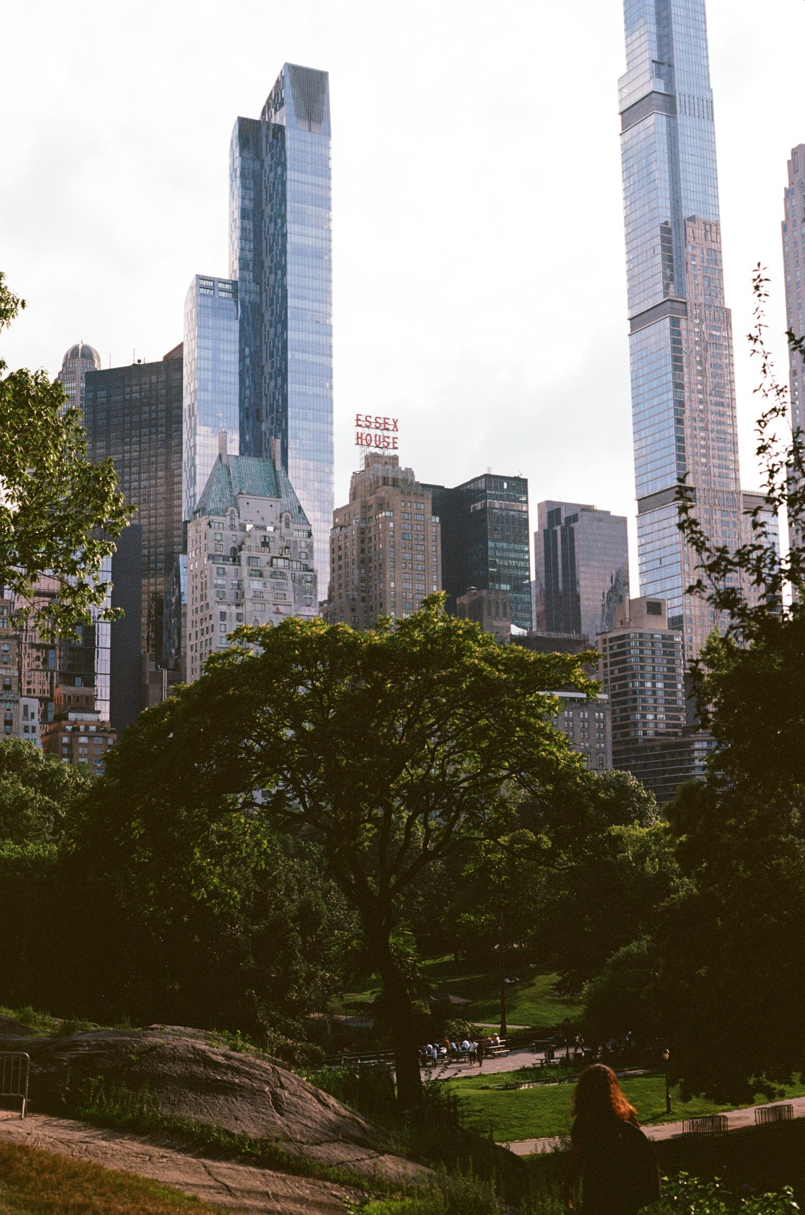 In a city park, a large green tree in the foreground, with benches and people sitting underneath, surrounded by tall skyscrapers in the background, including a building with a red and white "ESSEX HOUSE" sign.