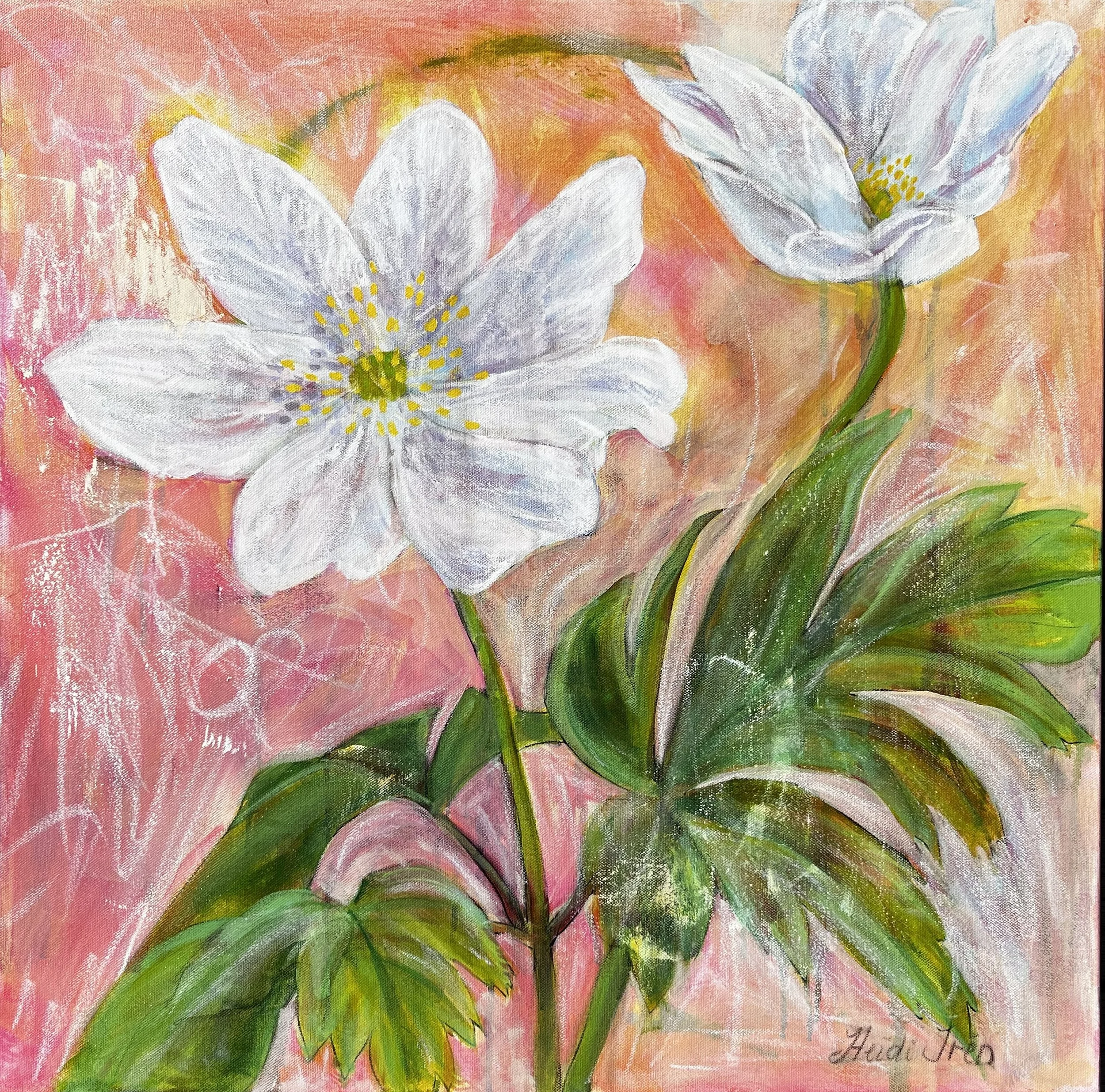 Hvitveis - 70x70cm Lerret - Mixed Media med Olje - NOK 7 500
