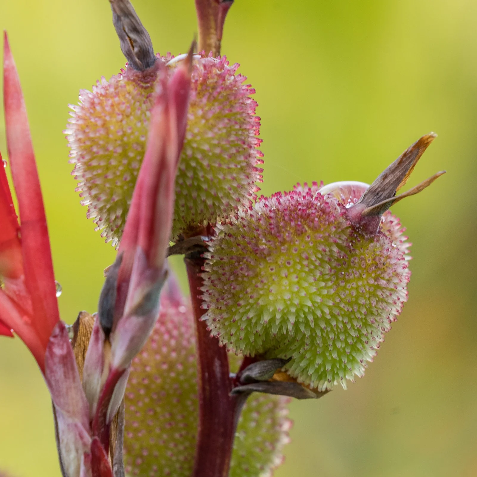 bueb-fotografie-natur -PS5_8168.jpg