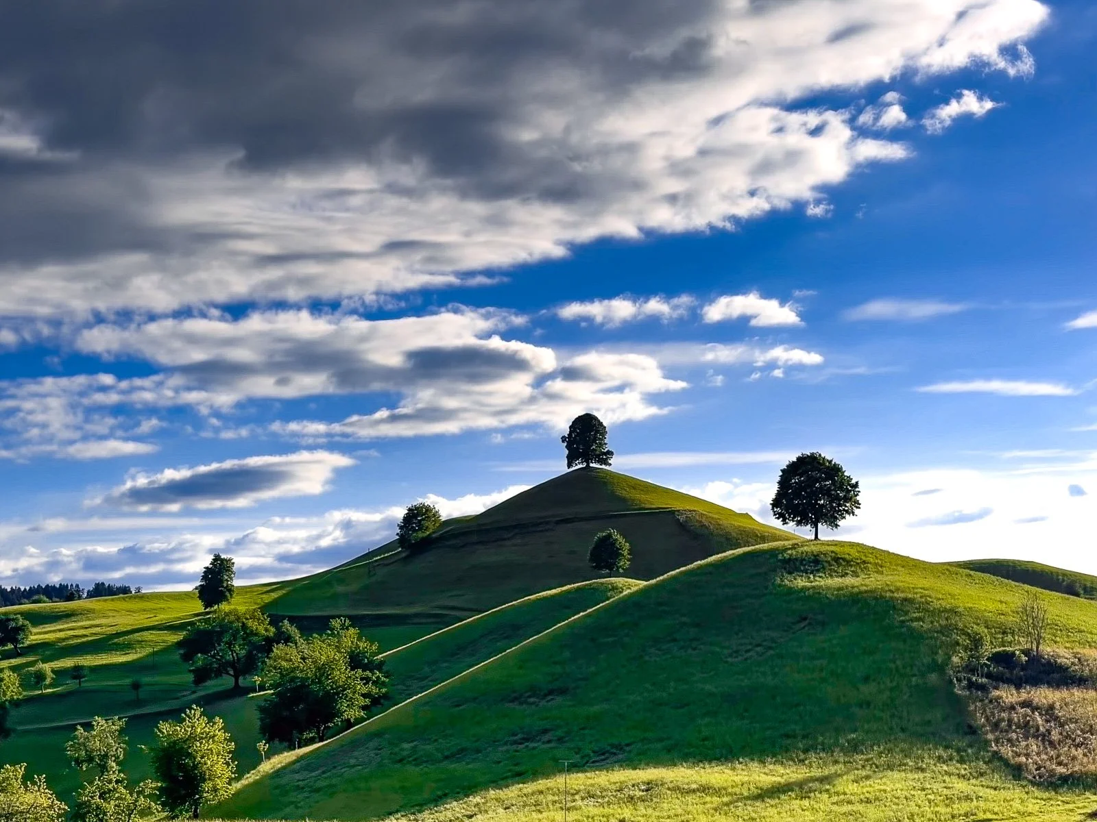 Drumlins