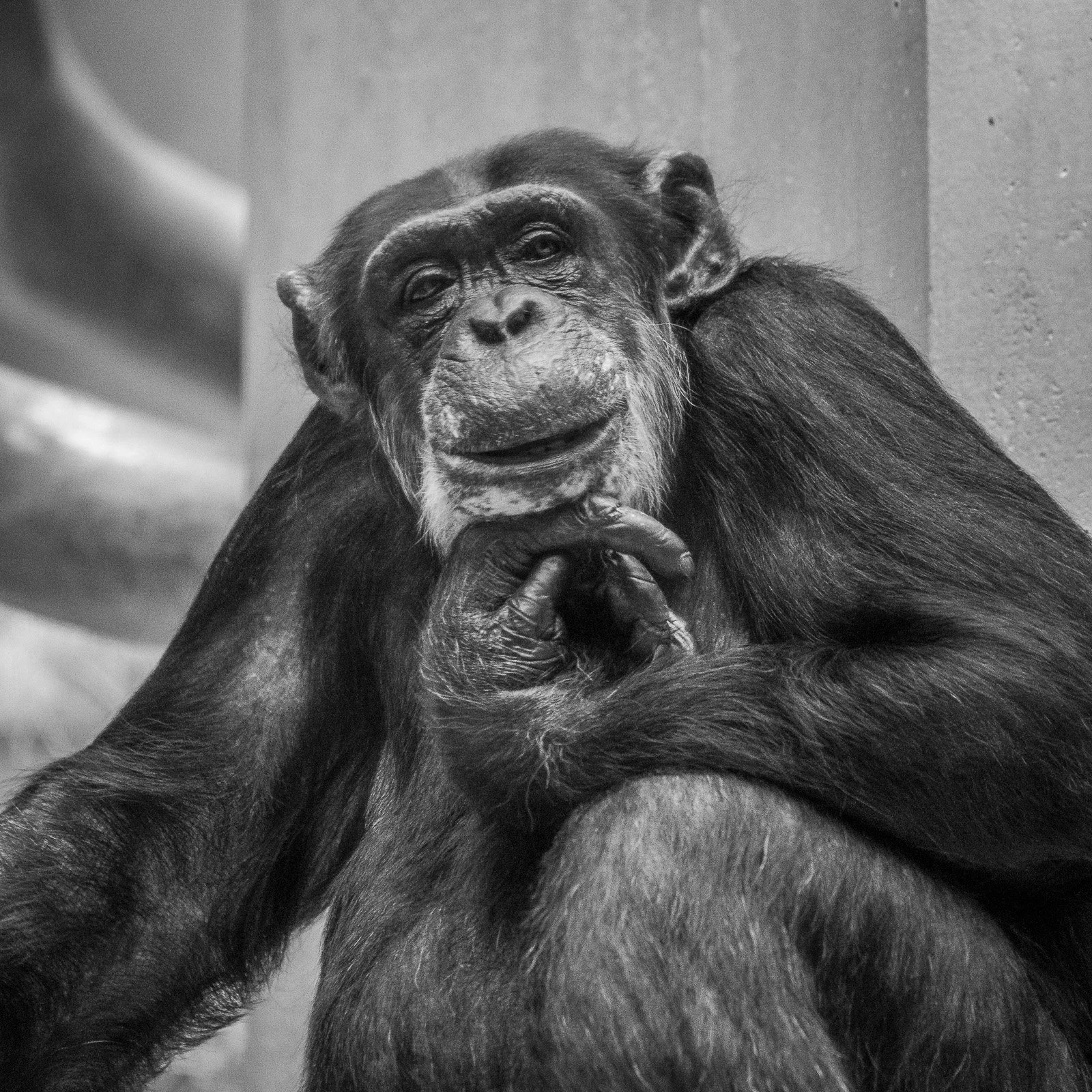Zoo, Basel
