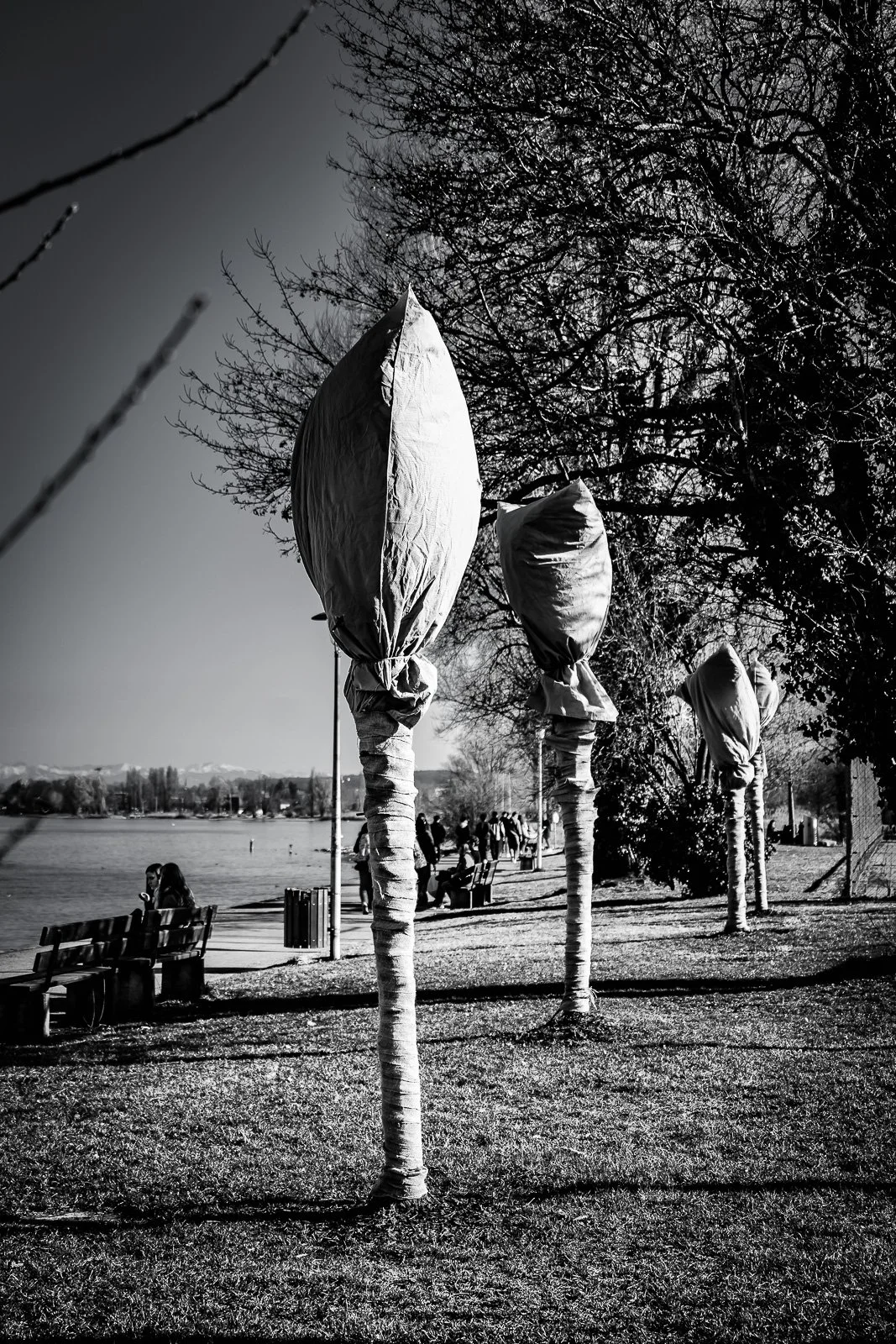 Bodensee