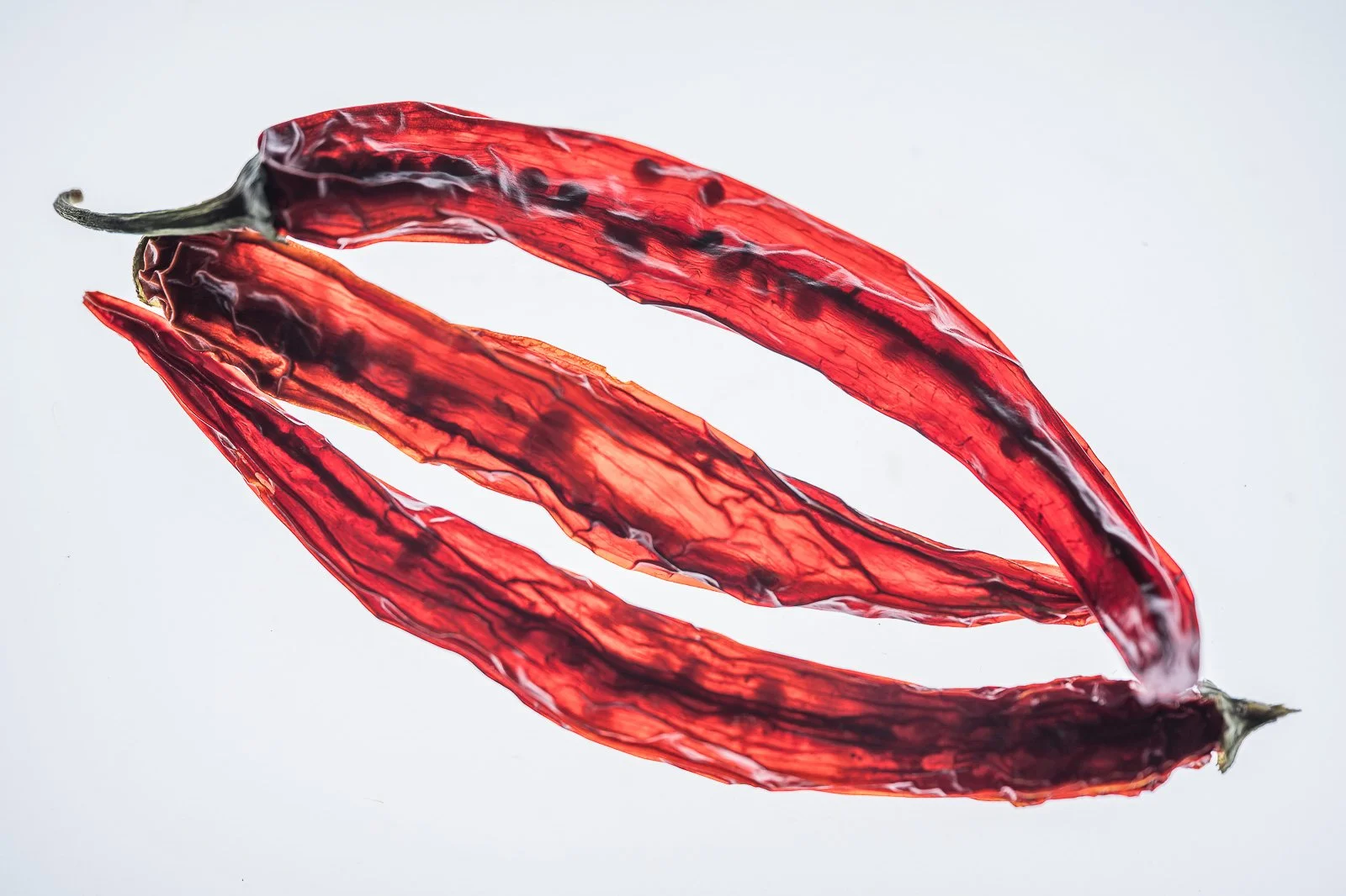 bueb-fotografie-effekt -PS1R1580.jpg