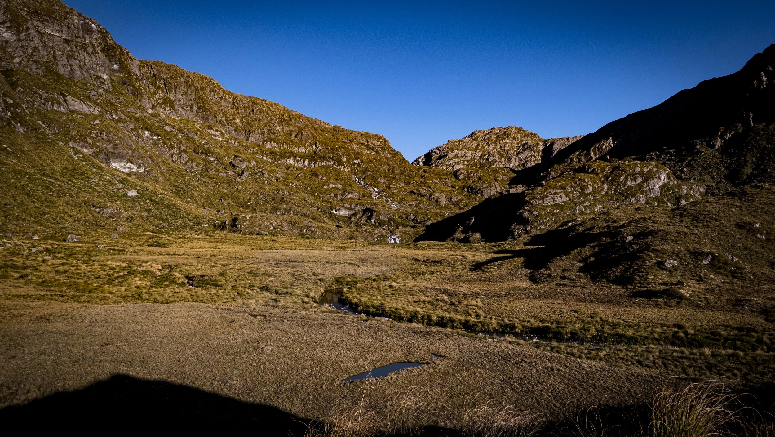 L1000031.jpg
