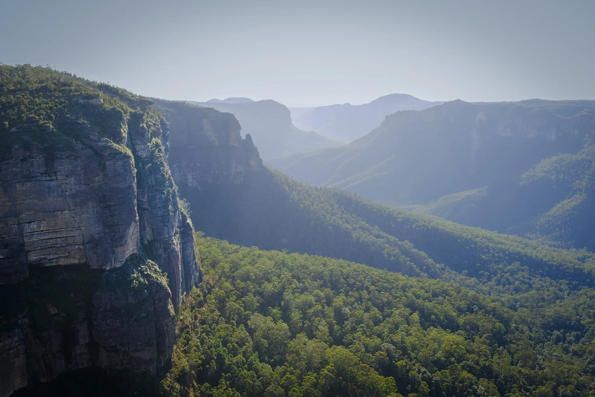 blue mountains (2023)