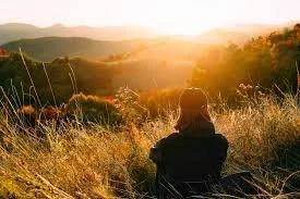 Individual Counselling (60mins)