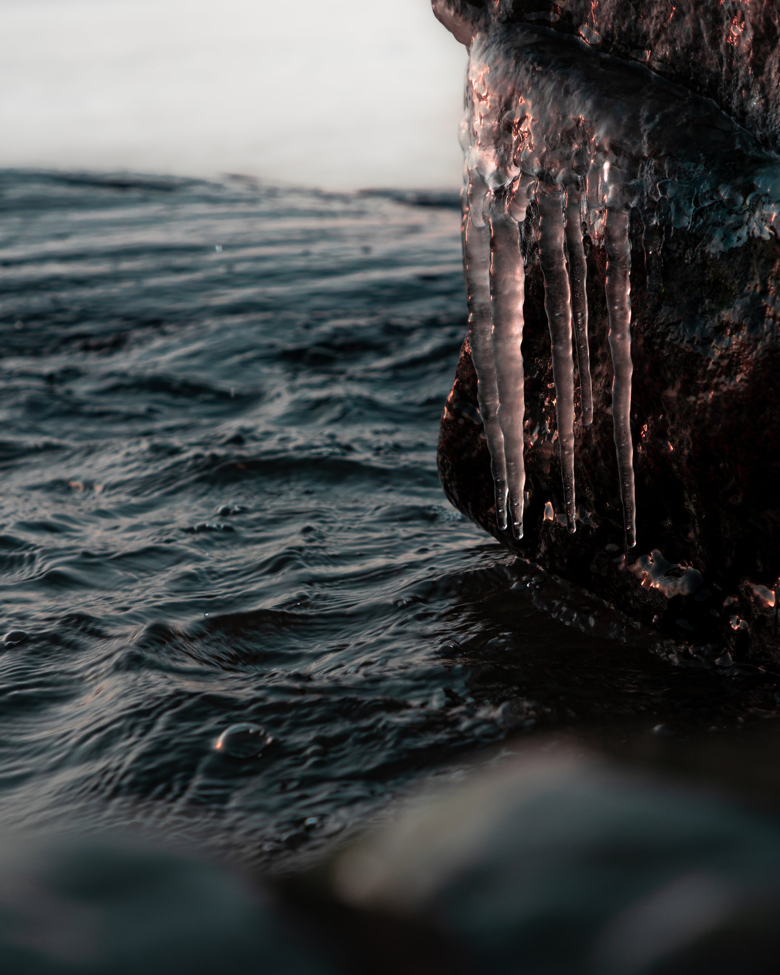 Close-up of icicles hanging from a dark, rocky surface near water with gentle waves.