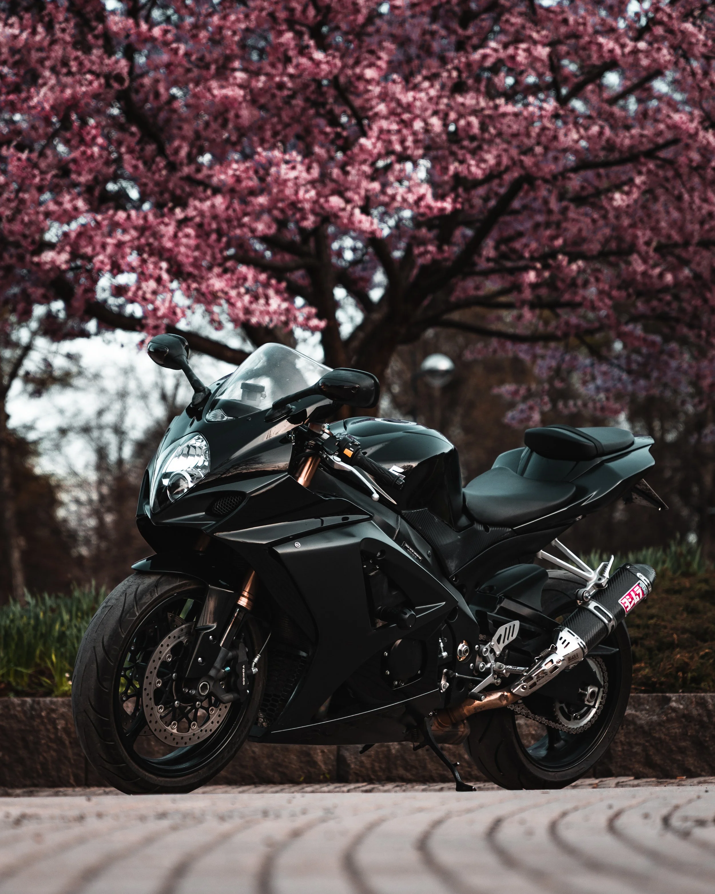 A black sport motorcycle parked on a paved area in front of a pink flowering tree.