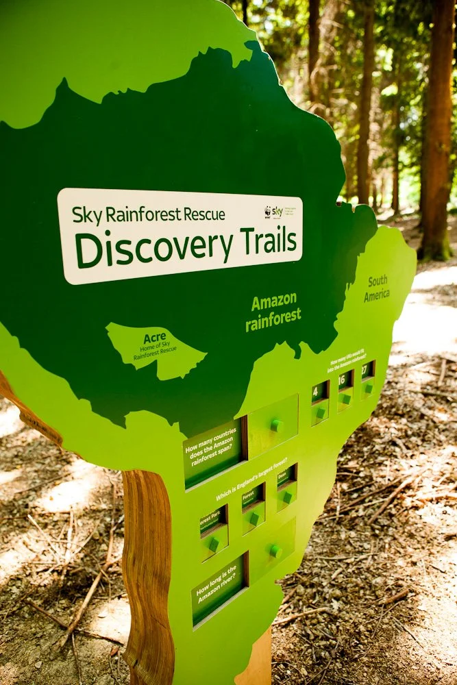 Brazil Map installation.jpg