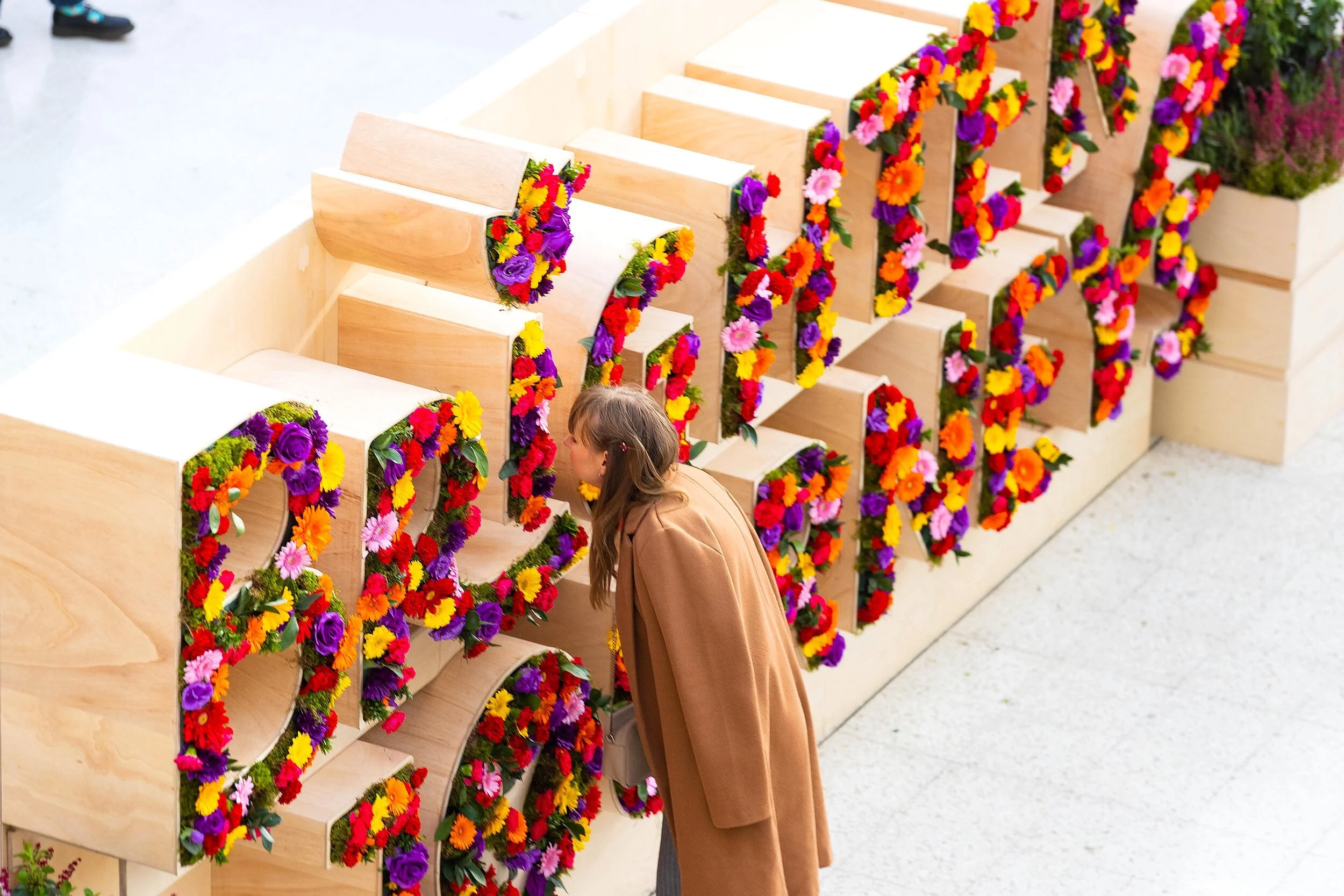 Brighter Journeys-9.jpg