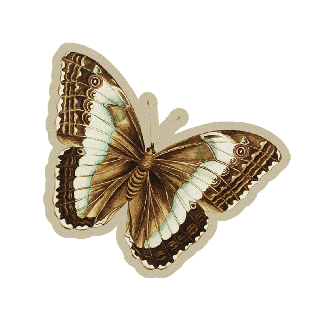 How Small Questions Reveal the Most Meaningful Stories