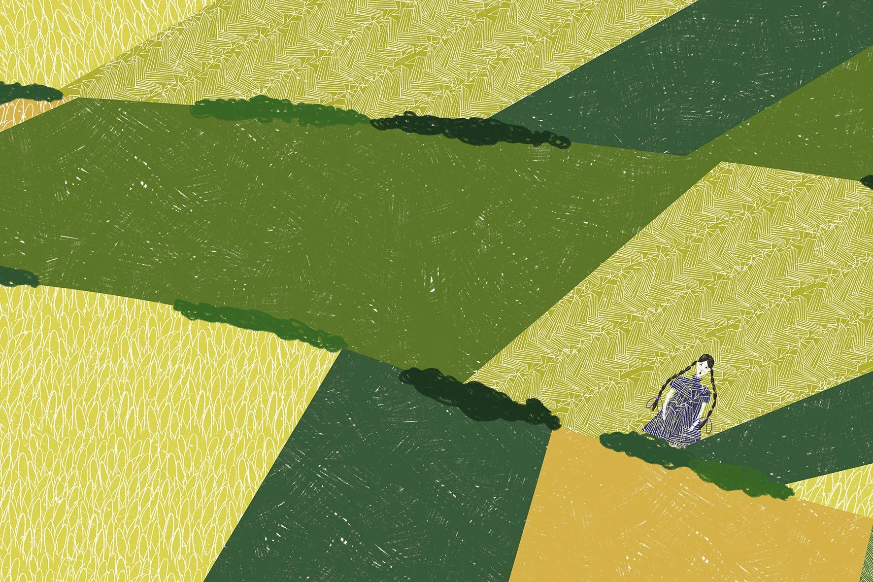 field.jpg