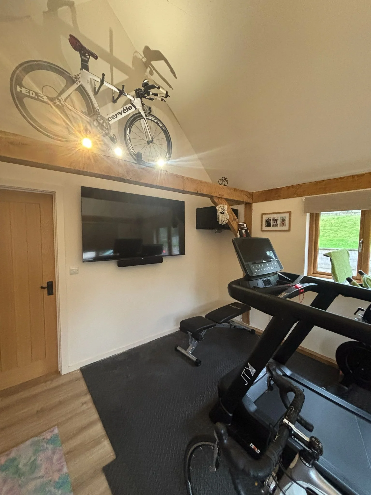 Room with a treadmill and a bicycle, a flat-screen TV on the wall, a window with green view, and a bicycle hanging on the ceiling.