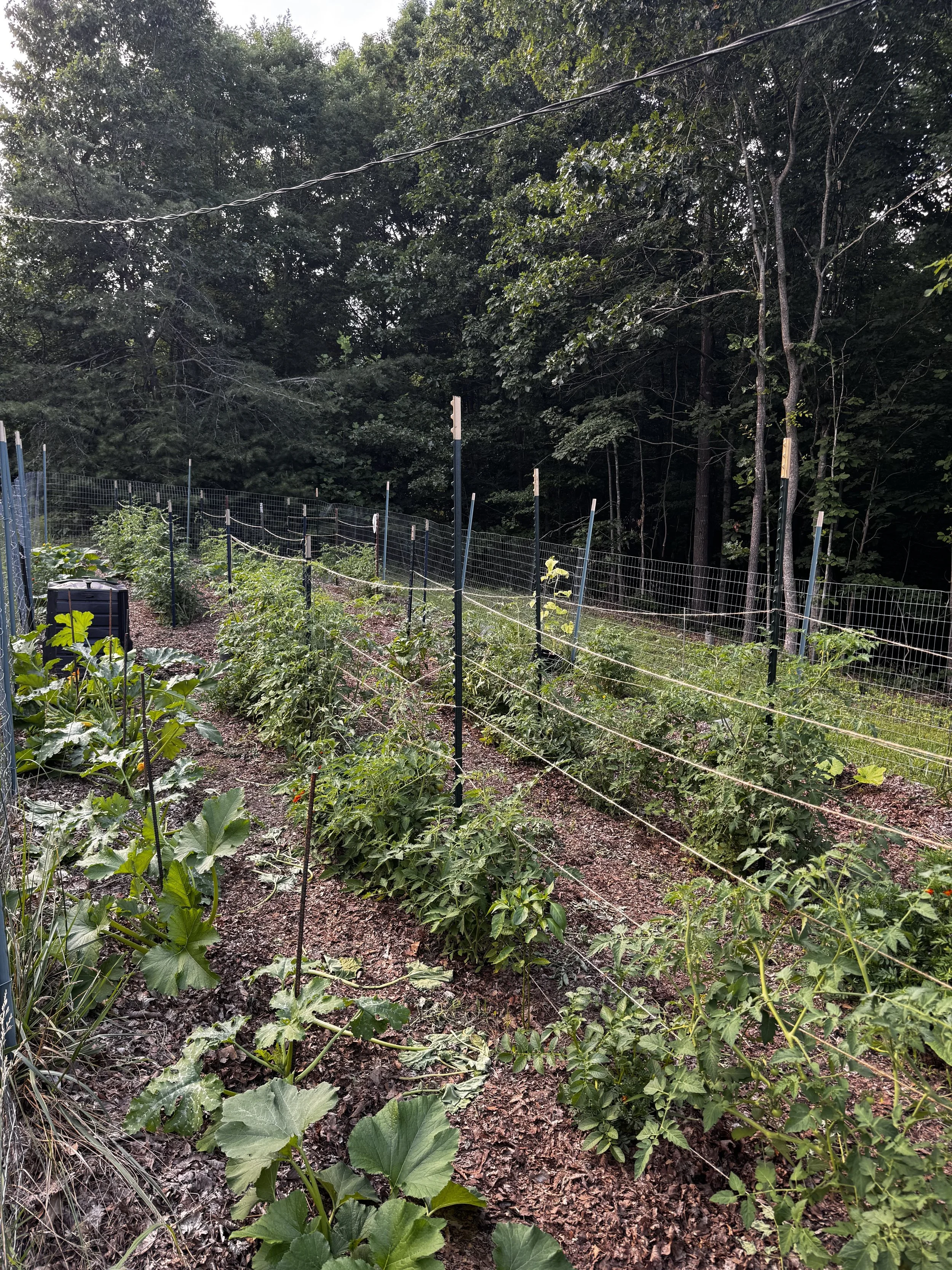 Tips to Build a Thriving Garden
