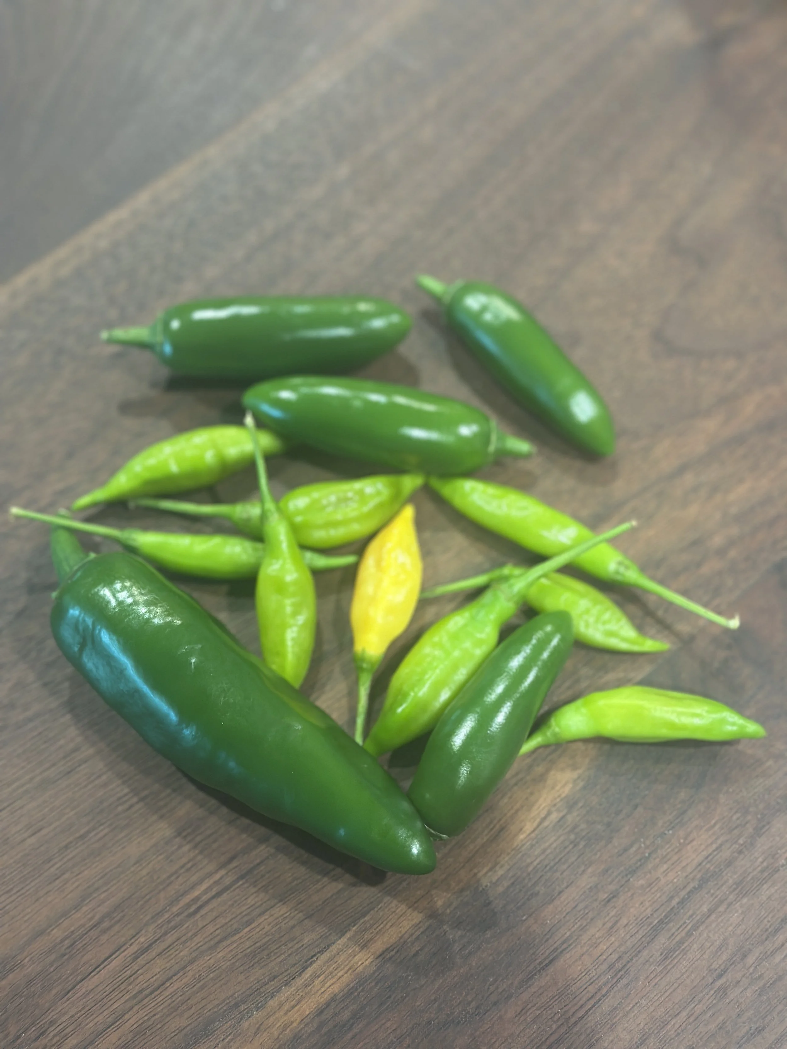 Hot Pepper Bundle