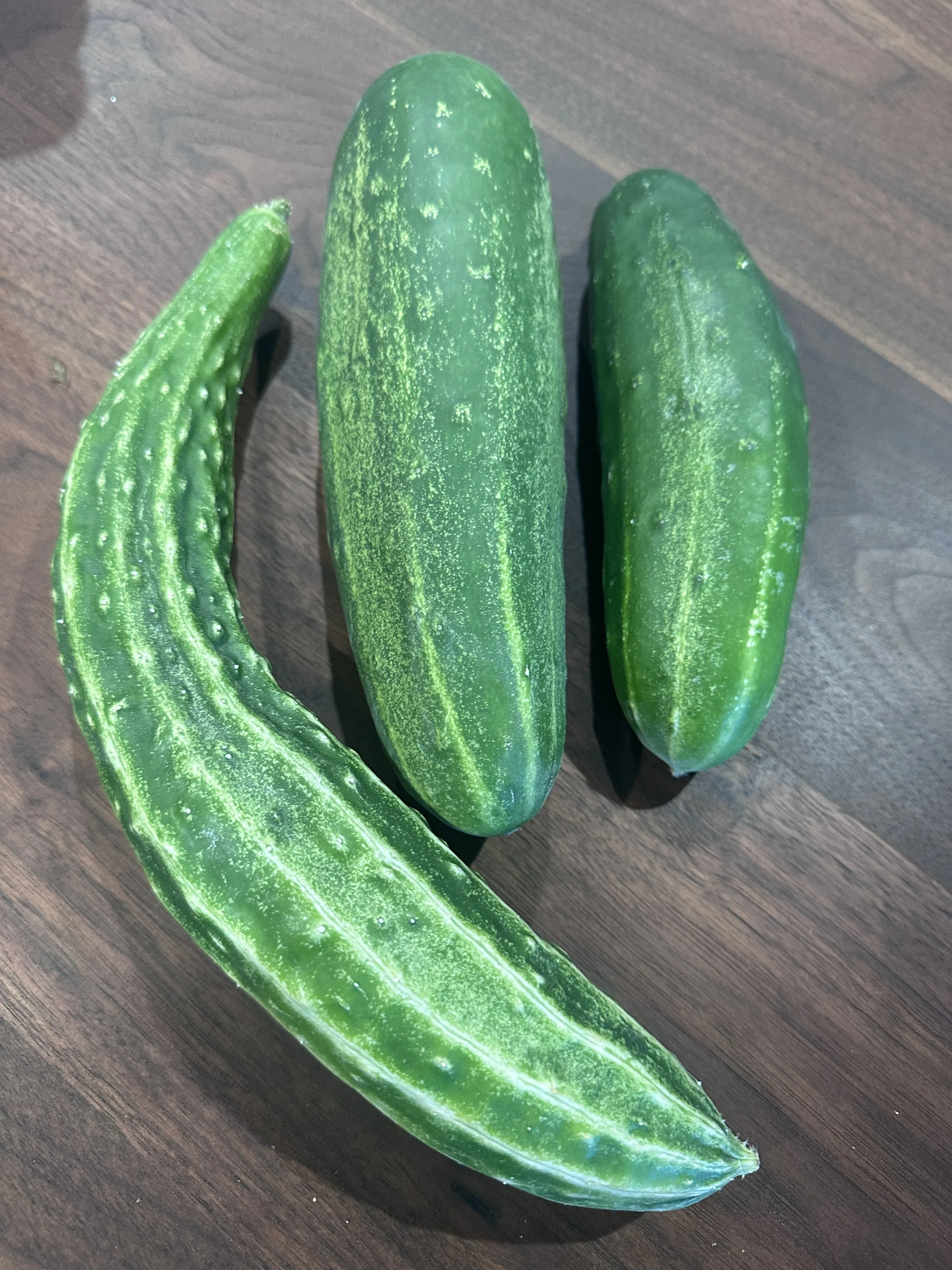 Cucumber (Qty 1)