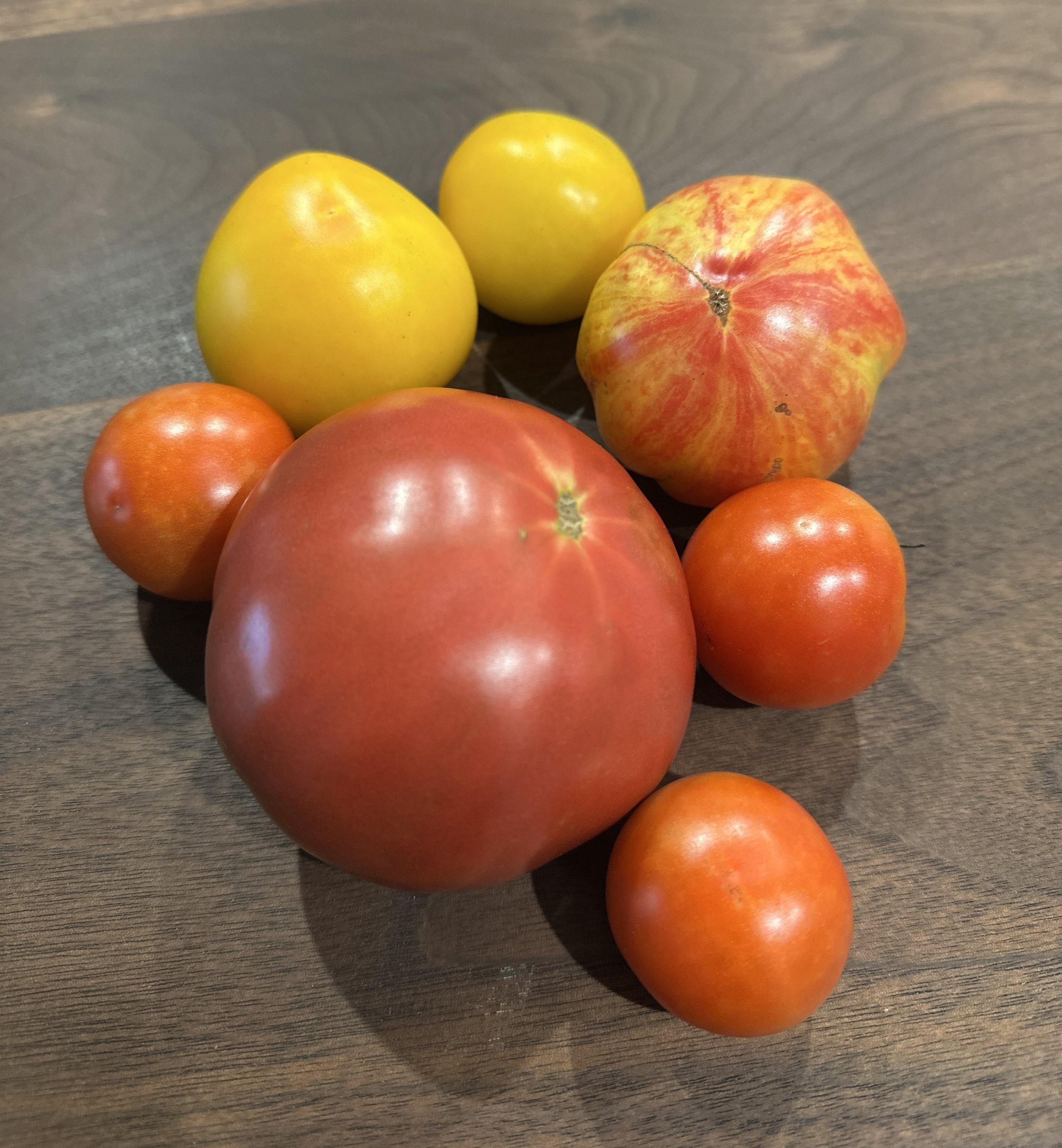 1lb of Tomatoes