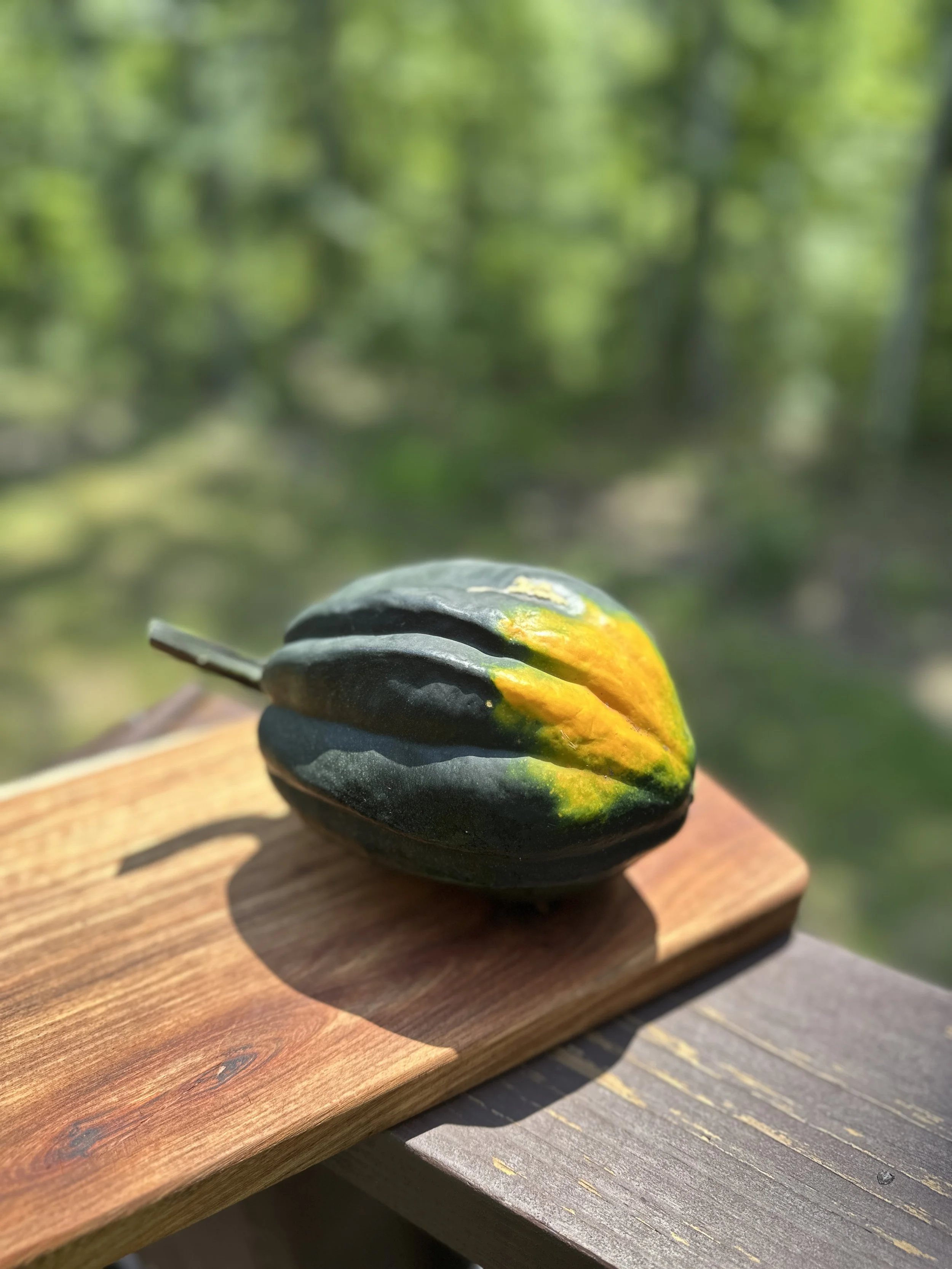Acorn Squash